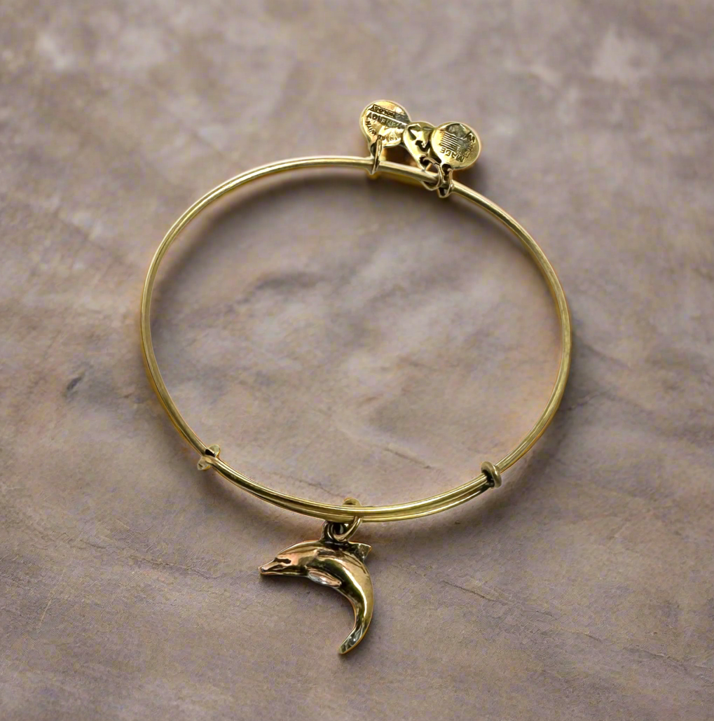 Alex and Ani - Dolphin Charm Bangle Bracelet