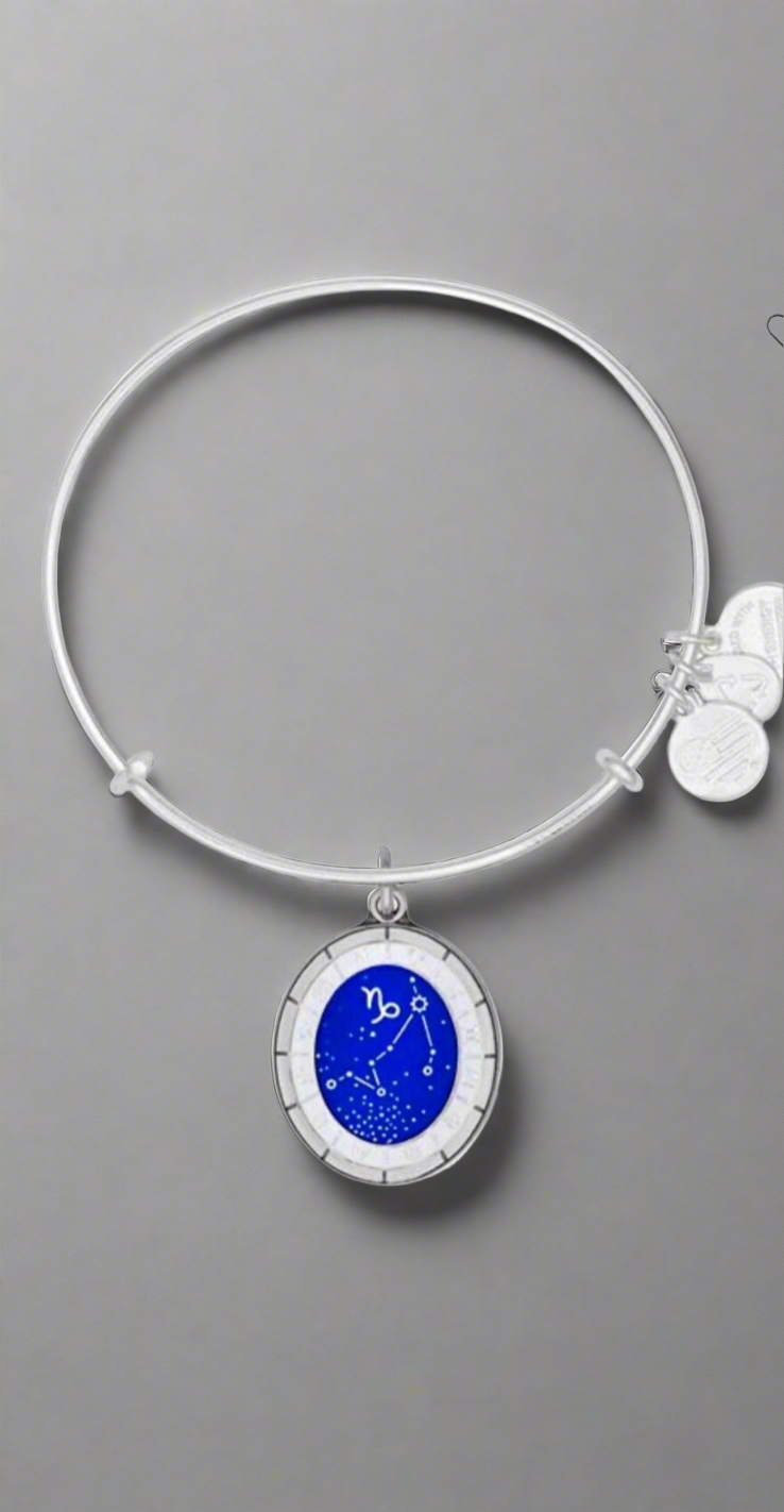 Alex and Ani - Capricorn, 12/22–1/19, Celestial Wheel Charm, Bangle Bracelet