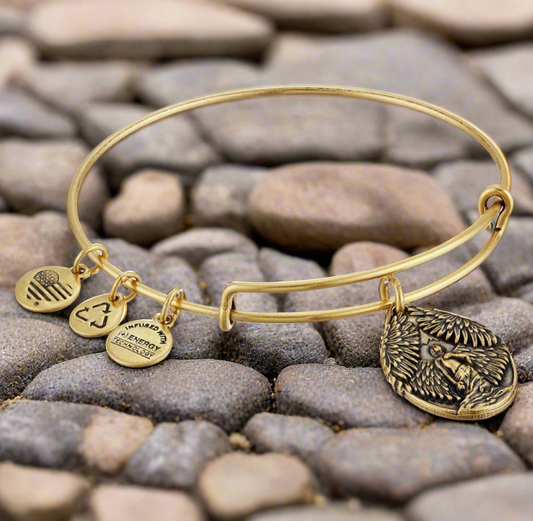 Alex and Ani - Guardian of Peace  Charm, Rafaelian Gold, Angel Bangle Bracelet, Adjustable & Stackable, NWT + Card, Collectors Gift for Her