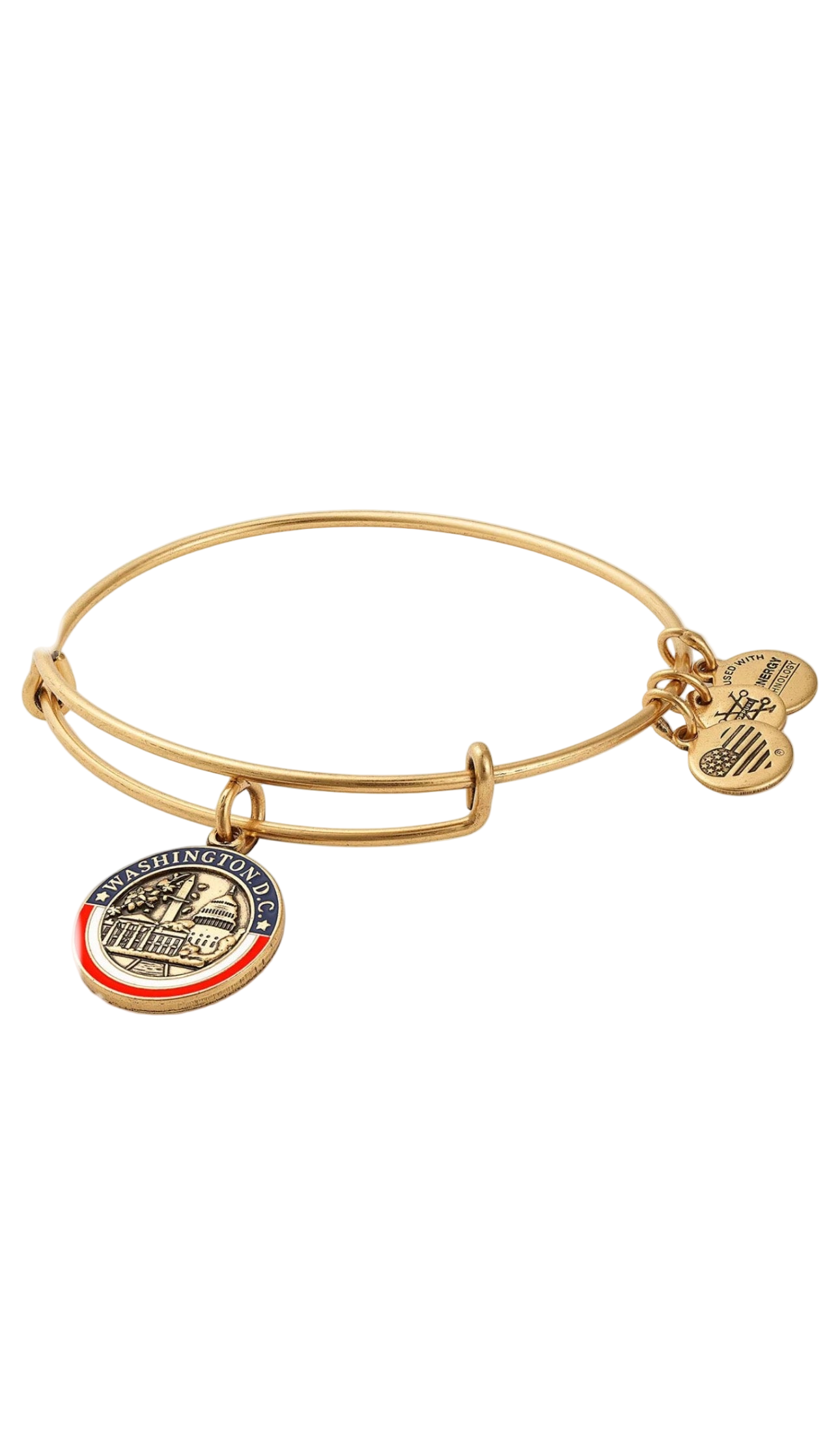 Alex and Ani - Washington D.C. III Charm Destination Bangle Bracelet