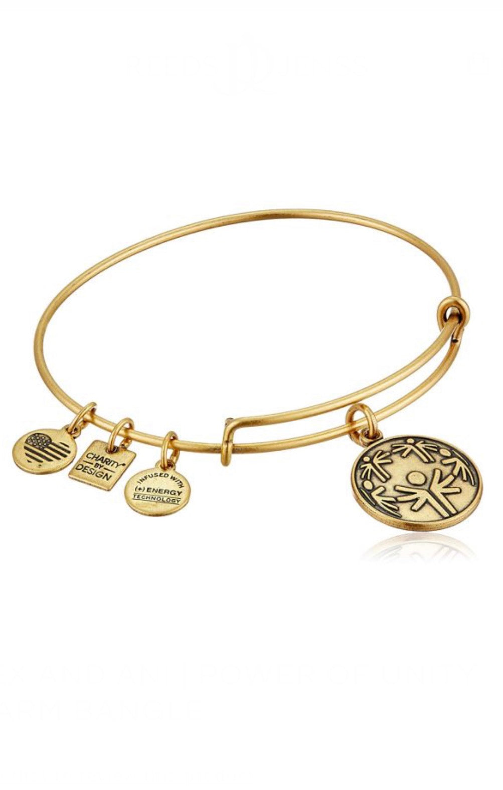 Alex and Ani - Power of Unity “Let Me Win”Charm Bangle Bracelet