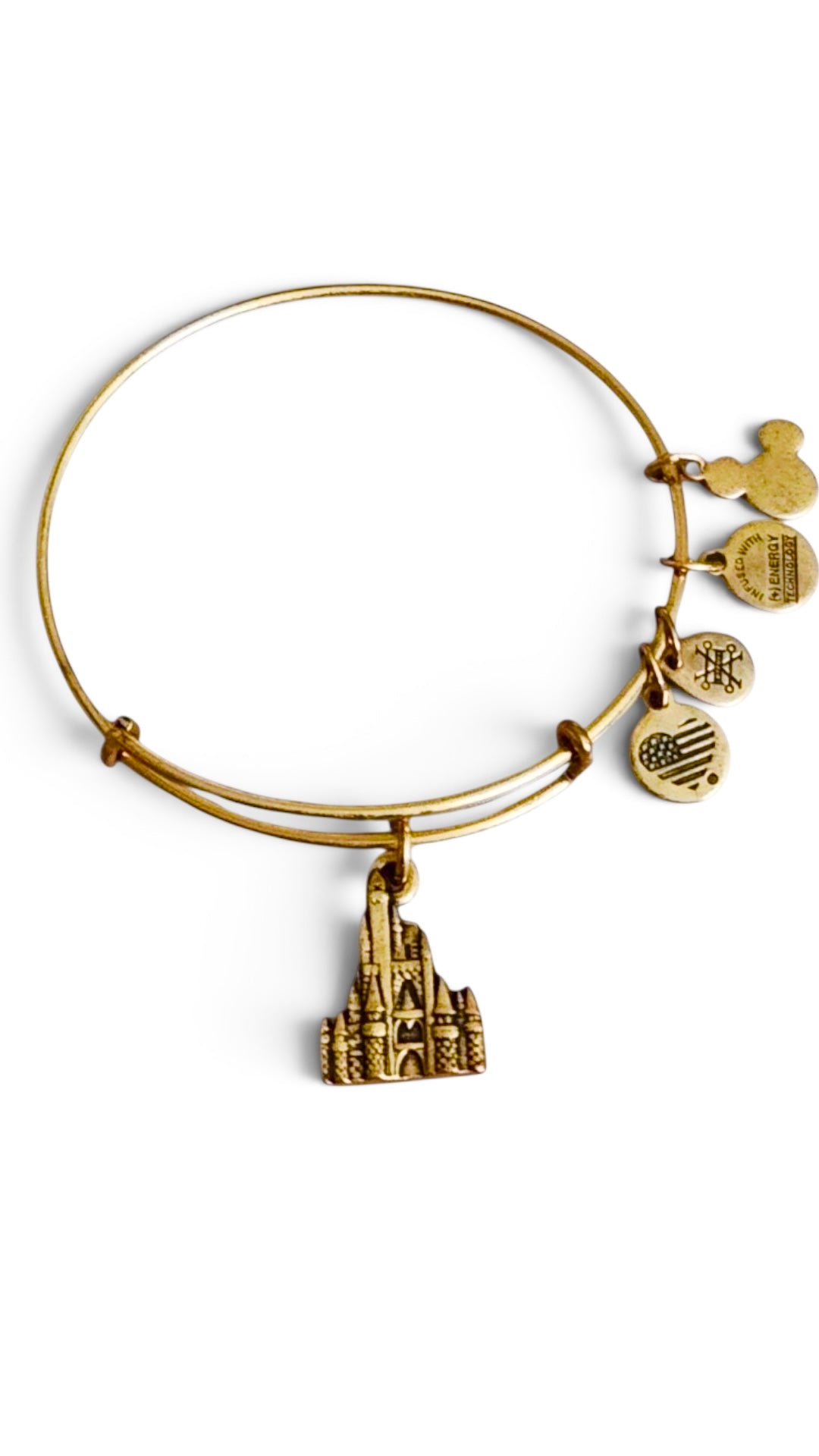 Alex and Ani - Park Exclusive Castle Charm Bangle Bracelet