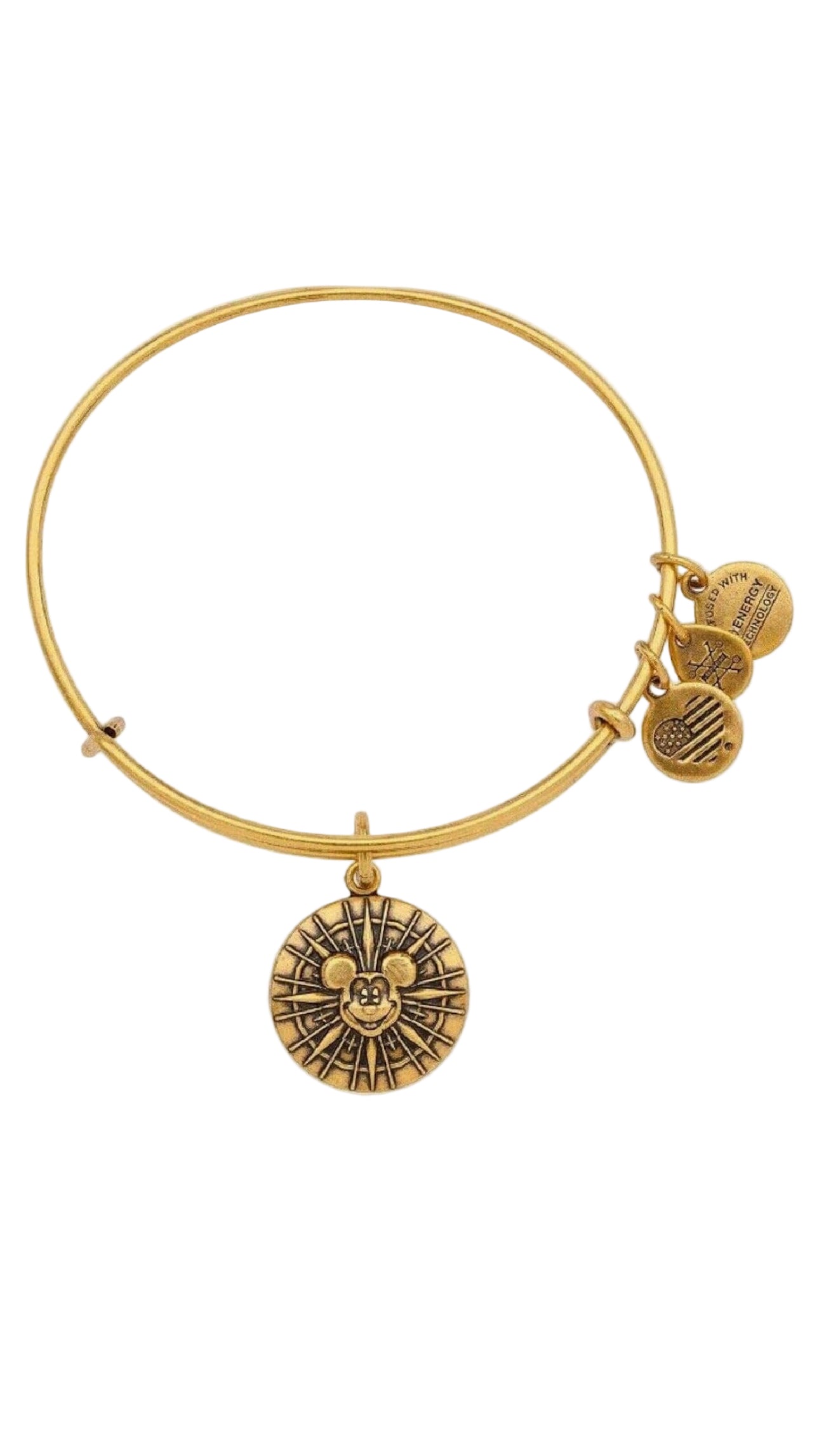 Alex and Ani - Disney Park Exclusive Charm Bracelet - Calif. Adventure’s Mickey's Fun Wheel