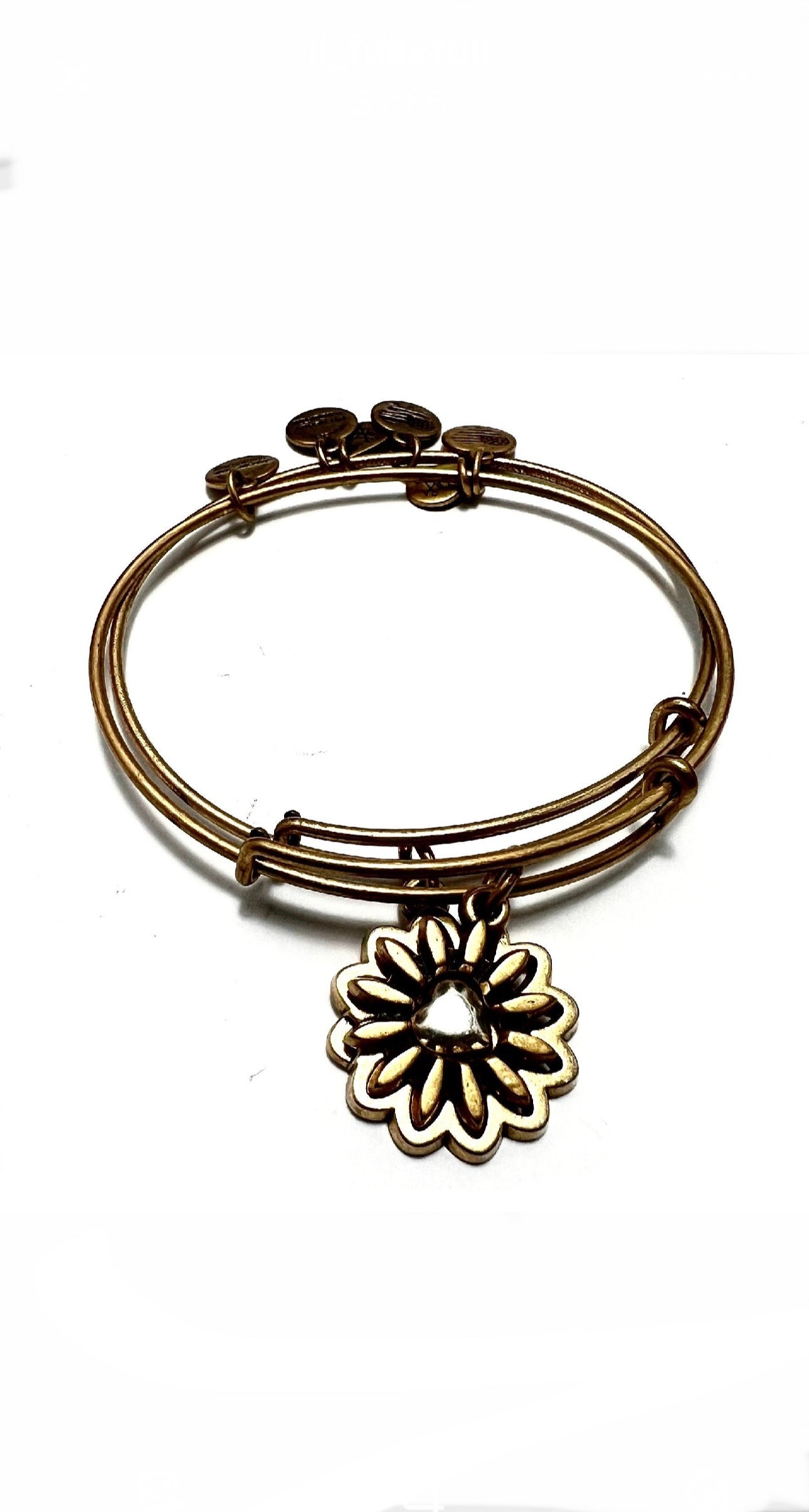 Alex and Ani - ‘You Are My Heart’ Two Tone Set of 2 Bangle Bracelet