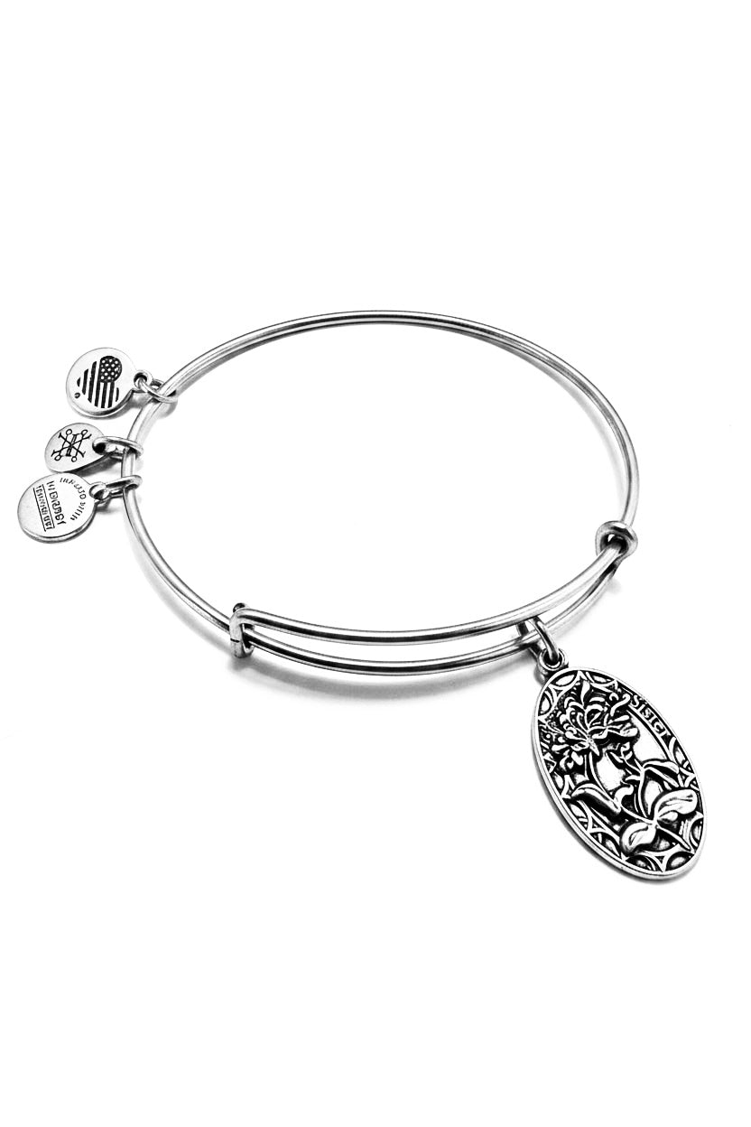 Alex and Ani - “Sister” Charm Slide Bangle Bracelet, 3 Styles