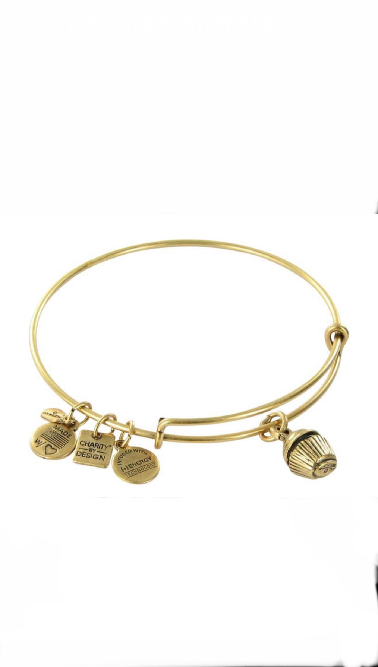 Alex and Ani - Cupcake Charm Bangle Bracelet