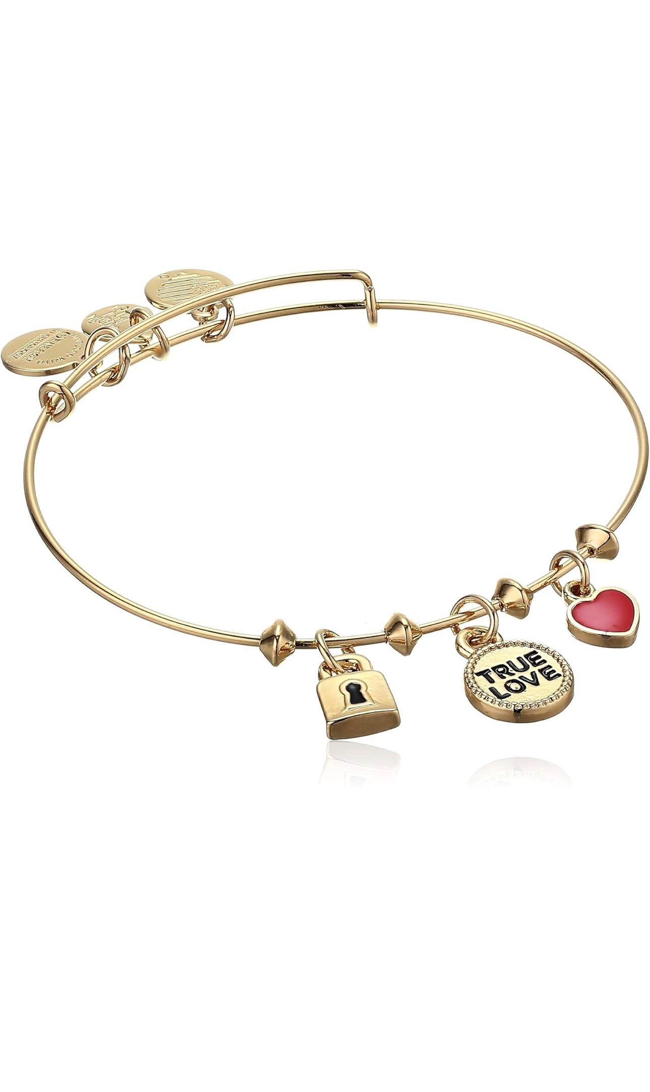 Alex and Ani - True Love Triple Charm Bangle Bracelet