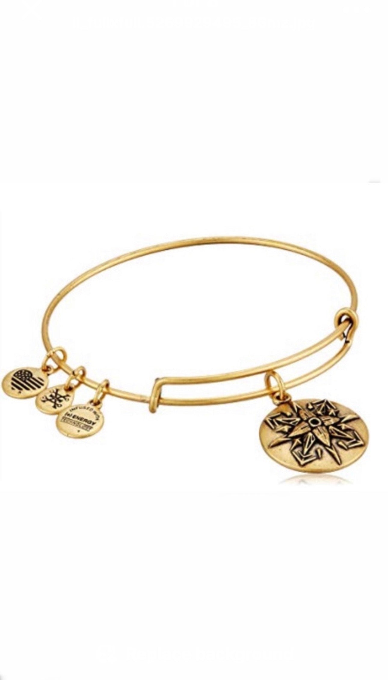 Alex and Ani - Healing Love Charm Bangle Bracelet, 2 Styles