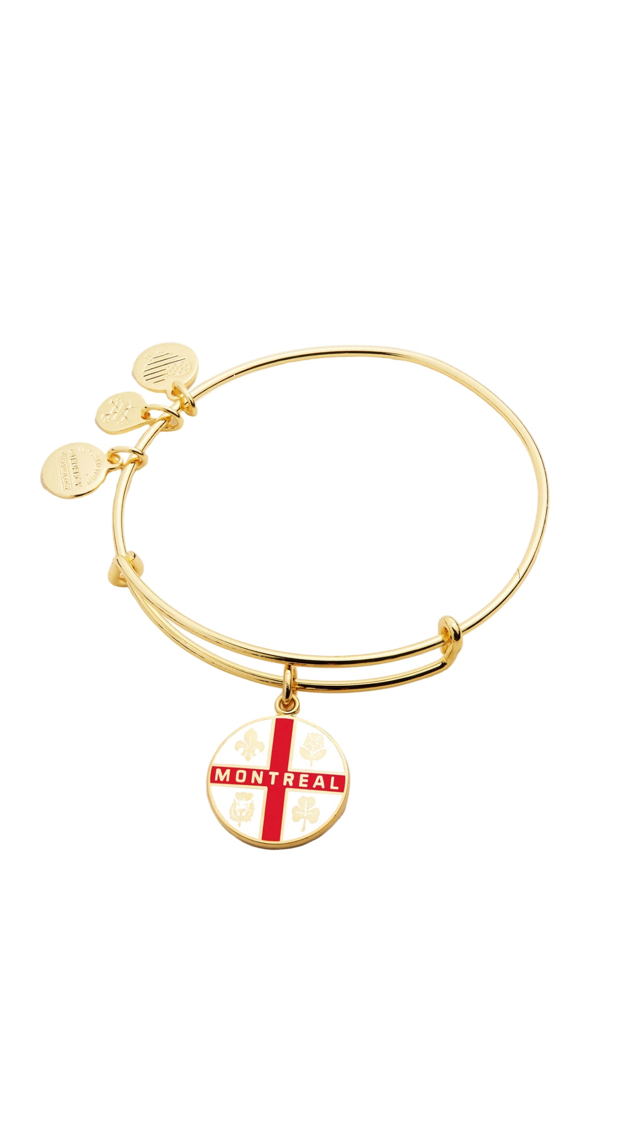 Alex and Ani - Montreal Charm Destination Bangle Bracelet