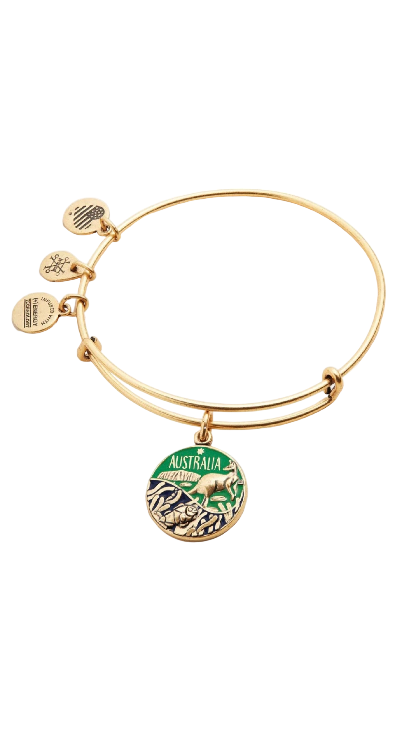 Alex and Ani - Australian Charm Destination Bangle Bracelet