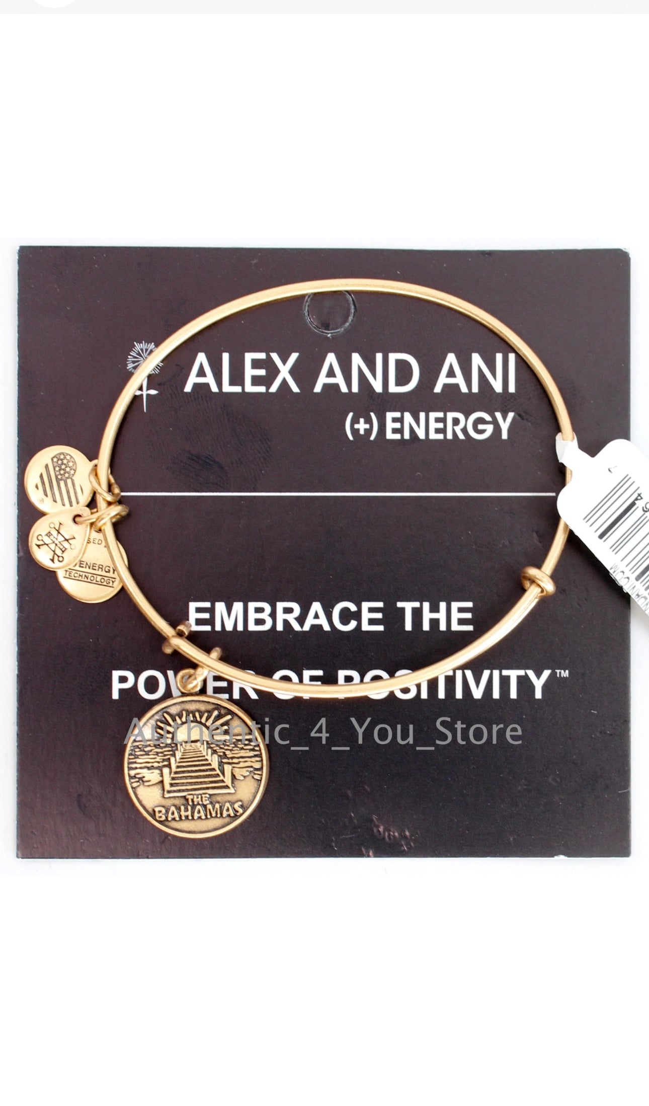 Alex and Ani - Vintage Bahamas Charm Destination Bangle Bracelet