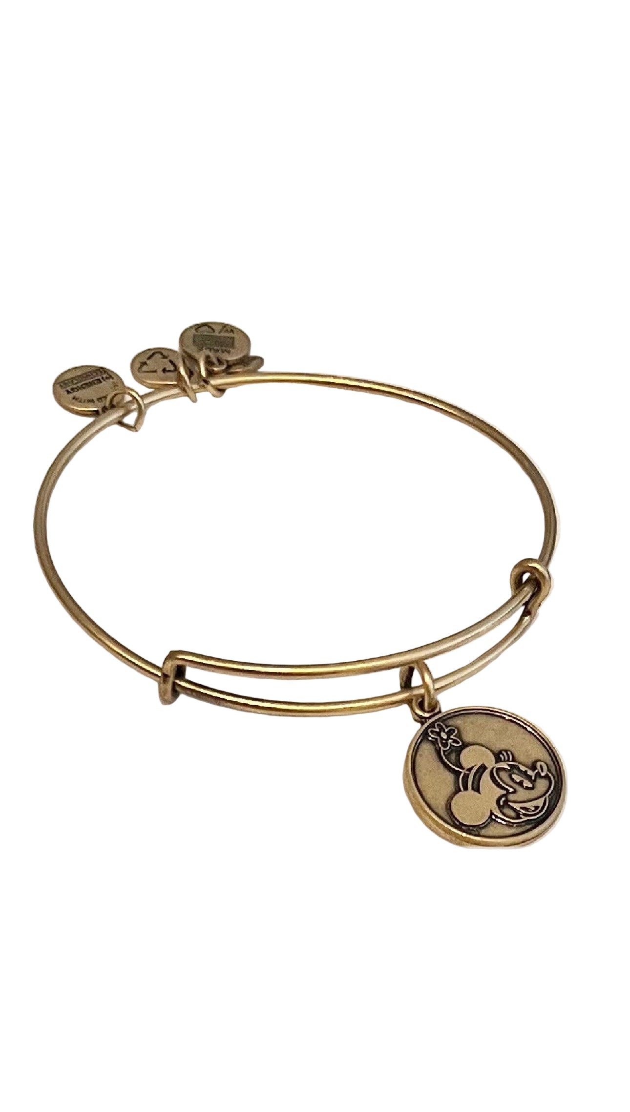 Alex and Ani - Park Exclusive - Minnie Charm Bangle Bracelet