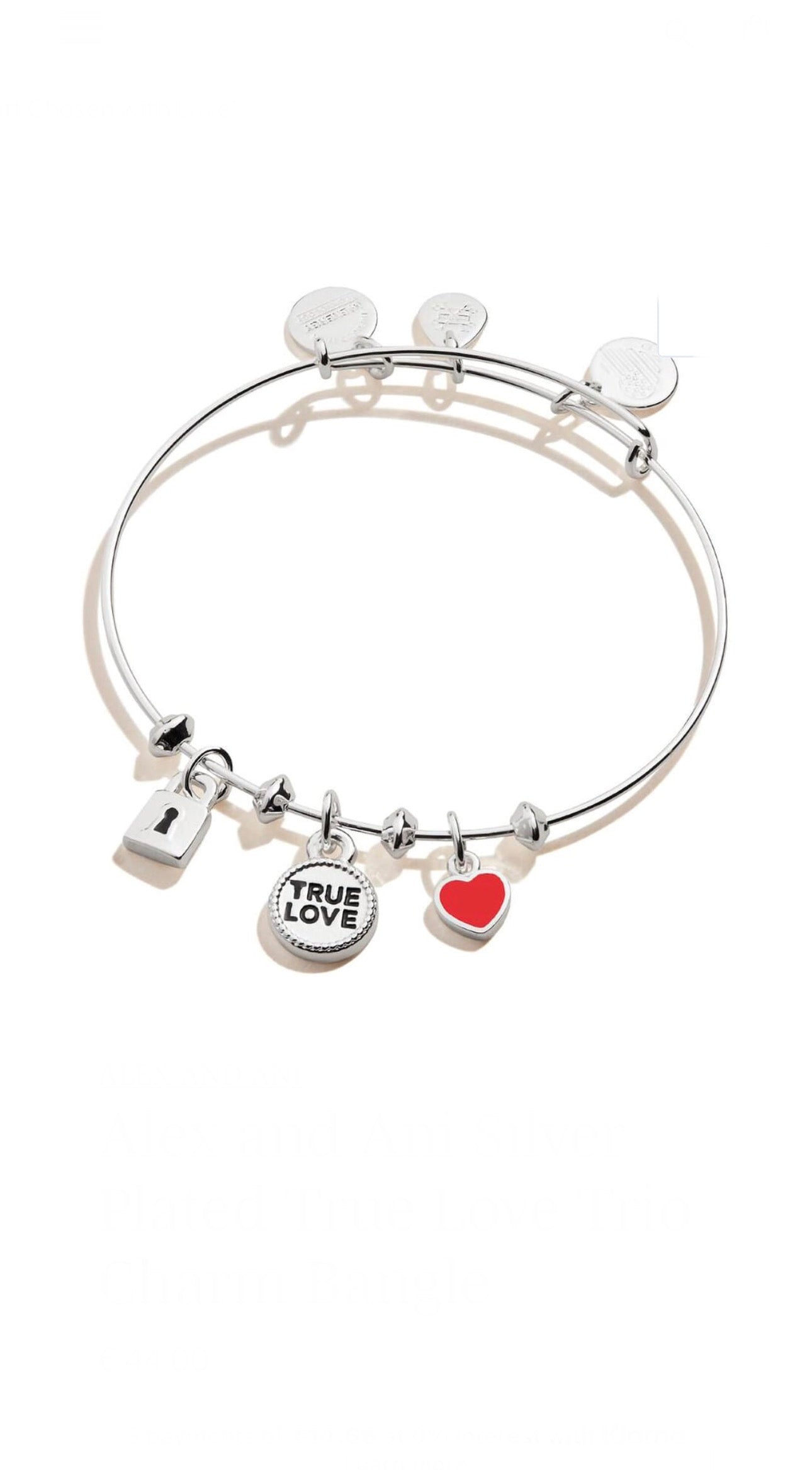 Alex and Ani - True Love Triple Charm Bangle Bracelet