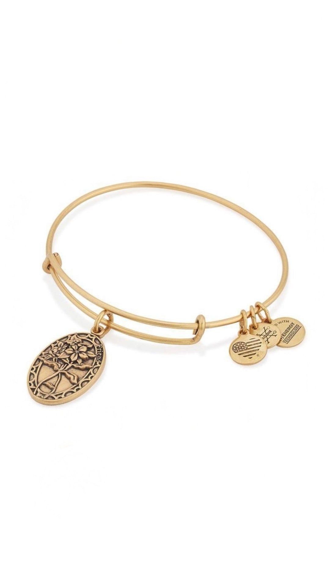 Alex and Ani - Because I Love You ‘Friend’ Periwinkle Charm Bangle Bracelet