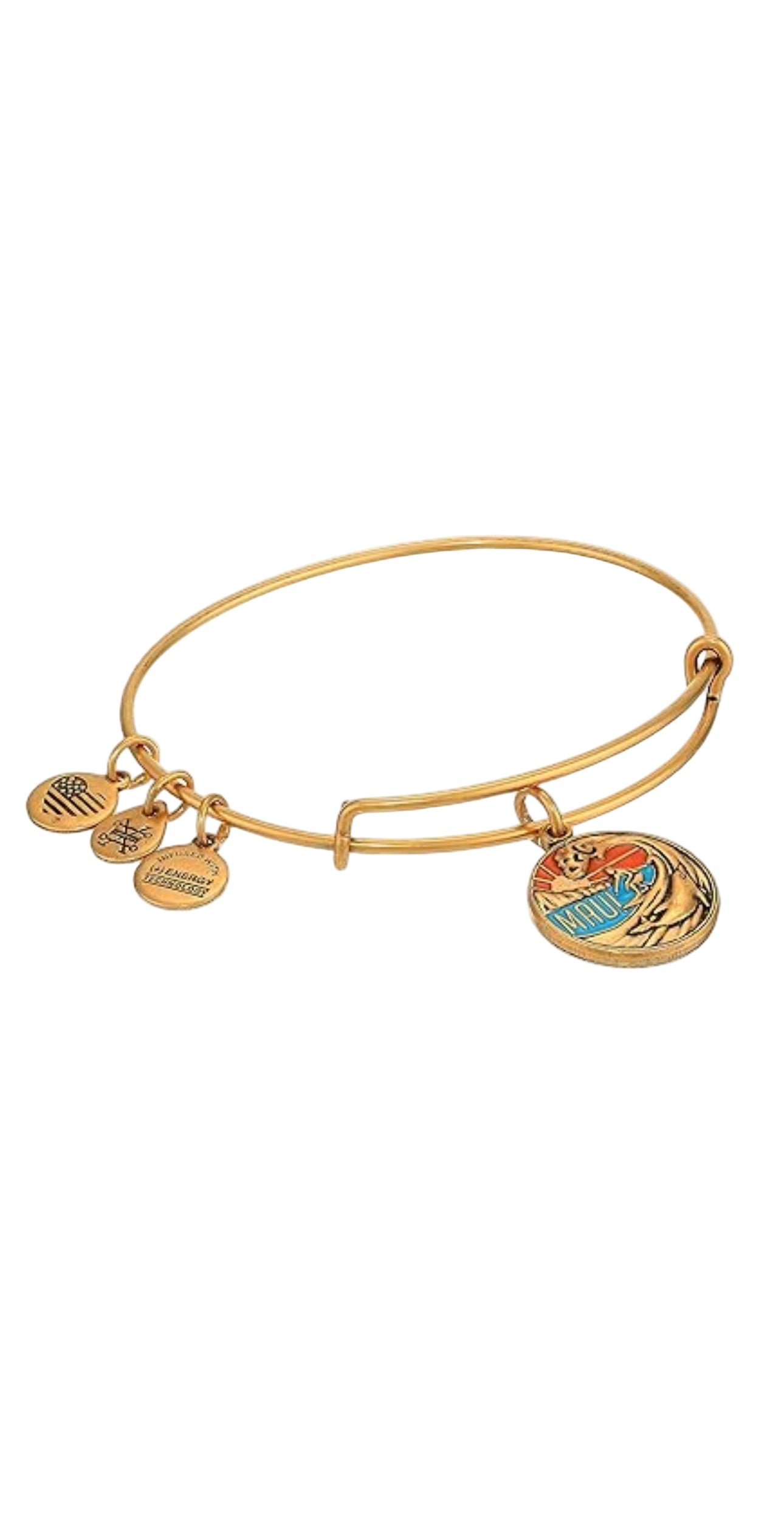 Alex and Ani - Maui Hawaii Charm Destination Bangle Bracelet
