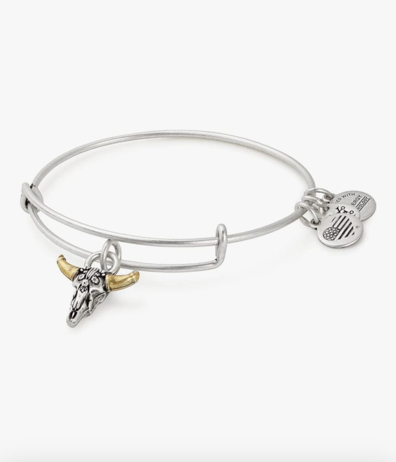 Alex and Ani - Spirited Skull Charm Bangle Bracelet