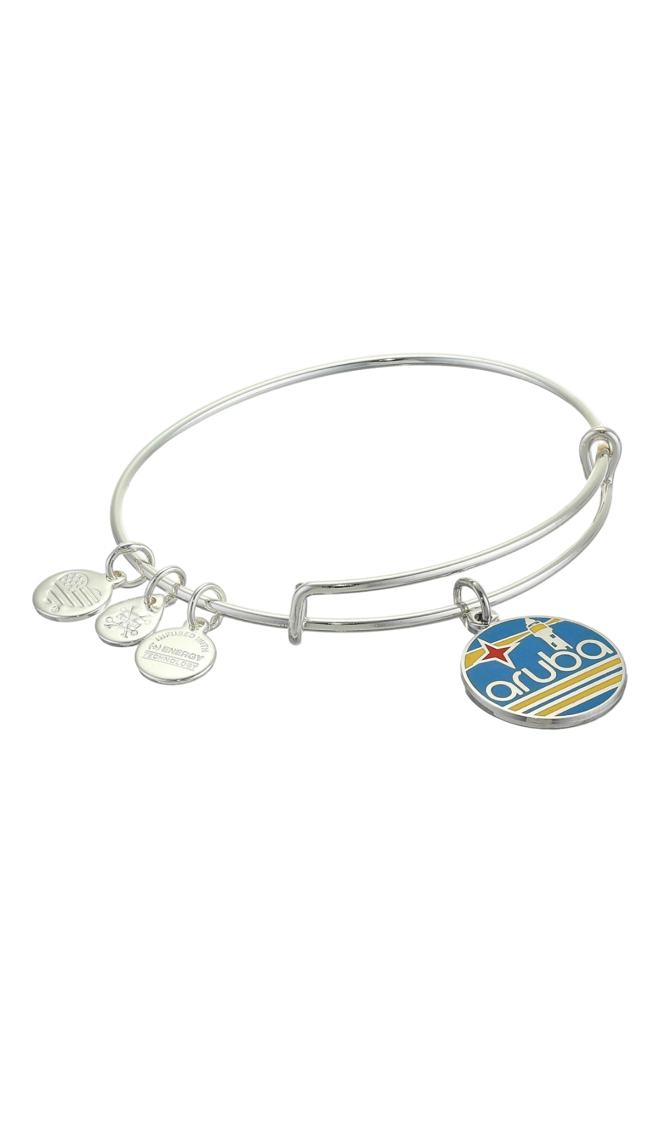 Alex and Ani - Destination Aruba Charm Rafaelian Bangle Bracelet