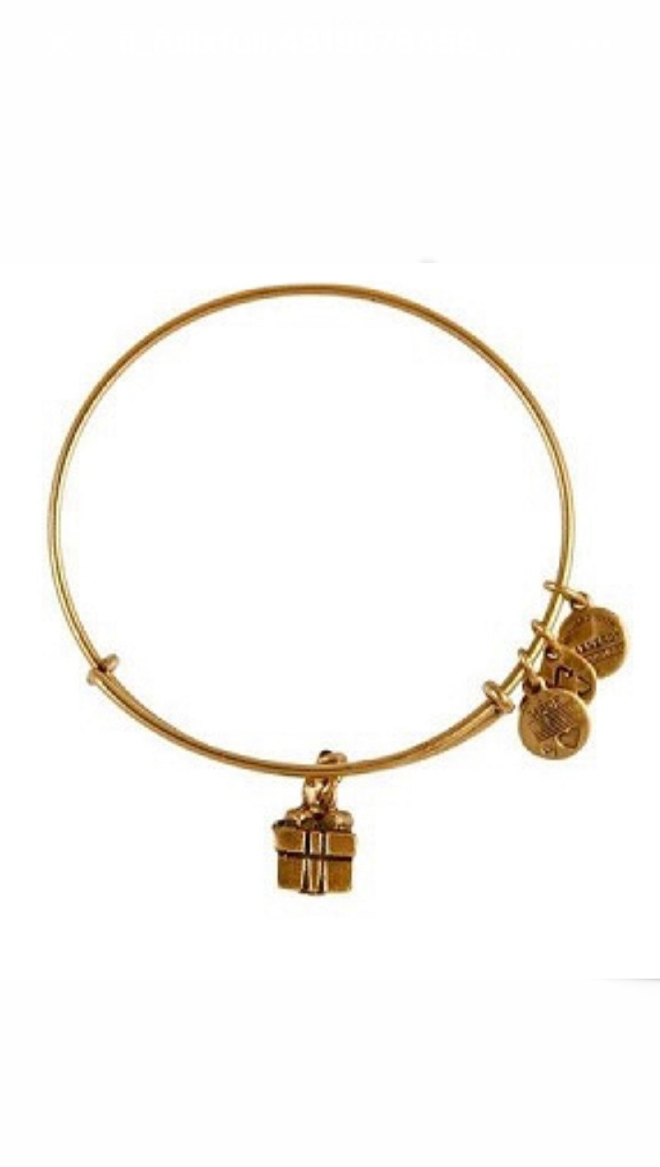 Alex and Ani - Gift Box Charm Bangle Bracelet