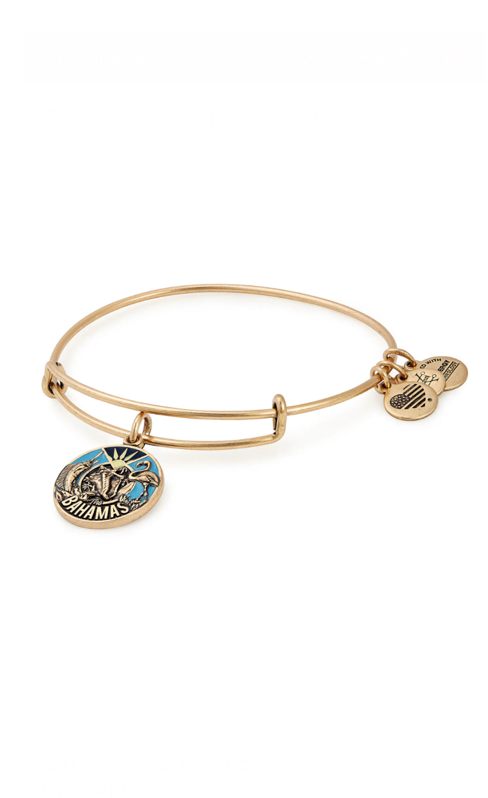 Alex and Ani - Bahamas Charm Destination Bangle Bracelet