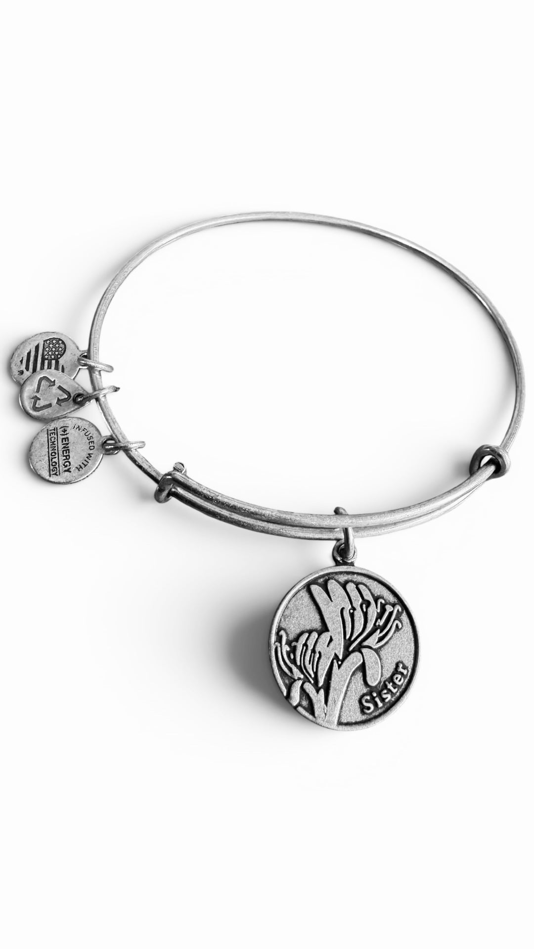 Alex and Ani - “Sister” Charm Slide Bangle Bracelet, 3 Styles