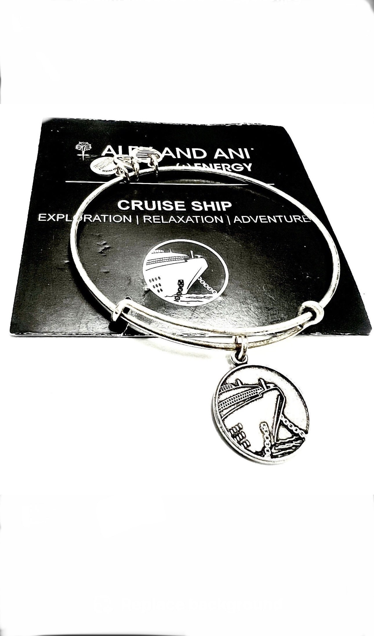 Alex and Ani - Cruise Ship Charm Bangle Bracelet