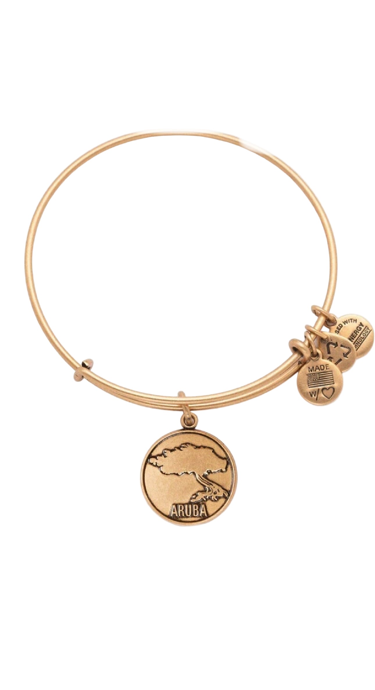 Alex and Ani - Destination Divi Tree Aruba Charm Rafaelian Bangle Bracelet