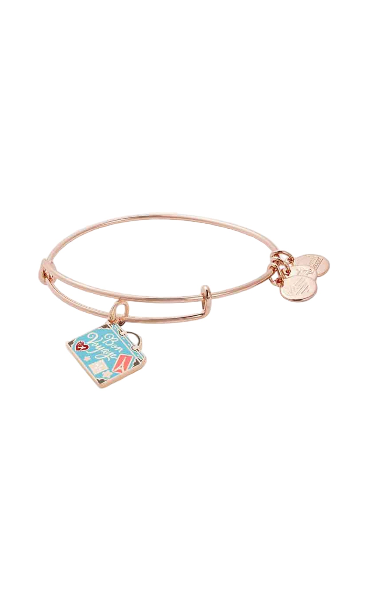 Alex and Ani - Bon Voyage Charm Bangle Bracelet