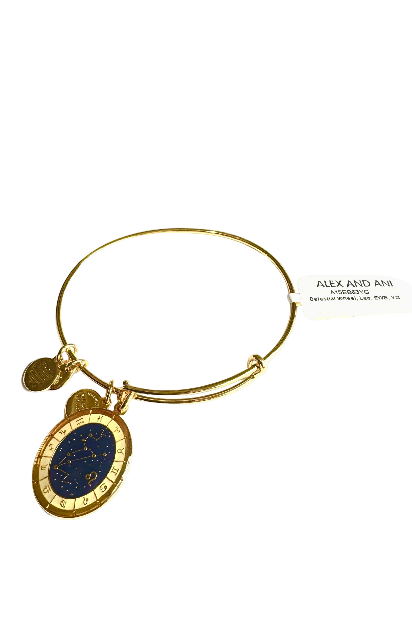 Alex and Ani - Leo Zodiac (7/23-8/22) Celestial Wheel Charm Bangle Bracelet