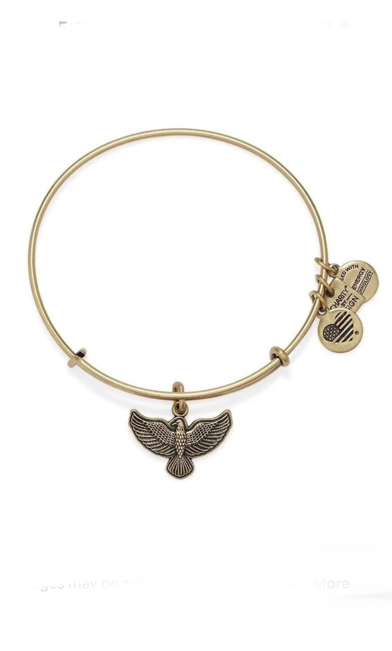 Alex and Ani - Spirit of The Eagle Charm Bangle Bracelet