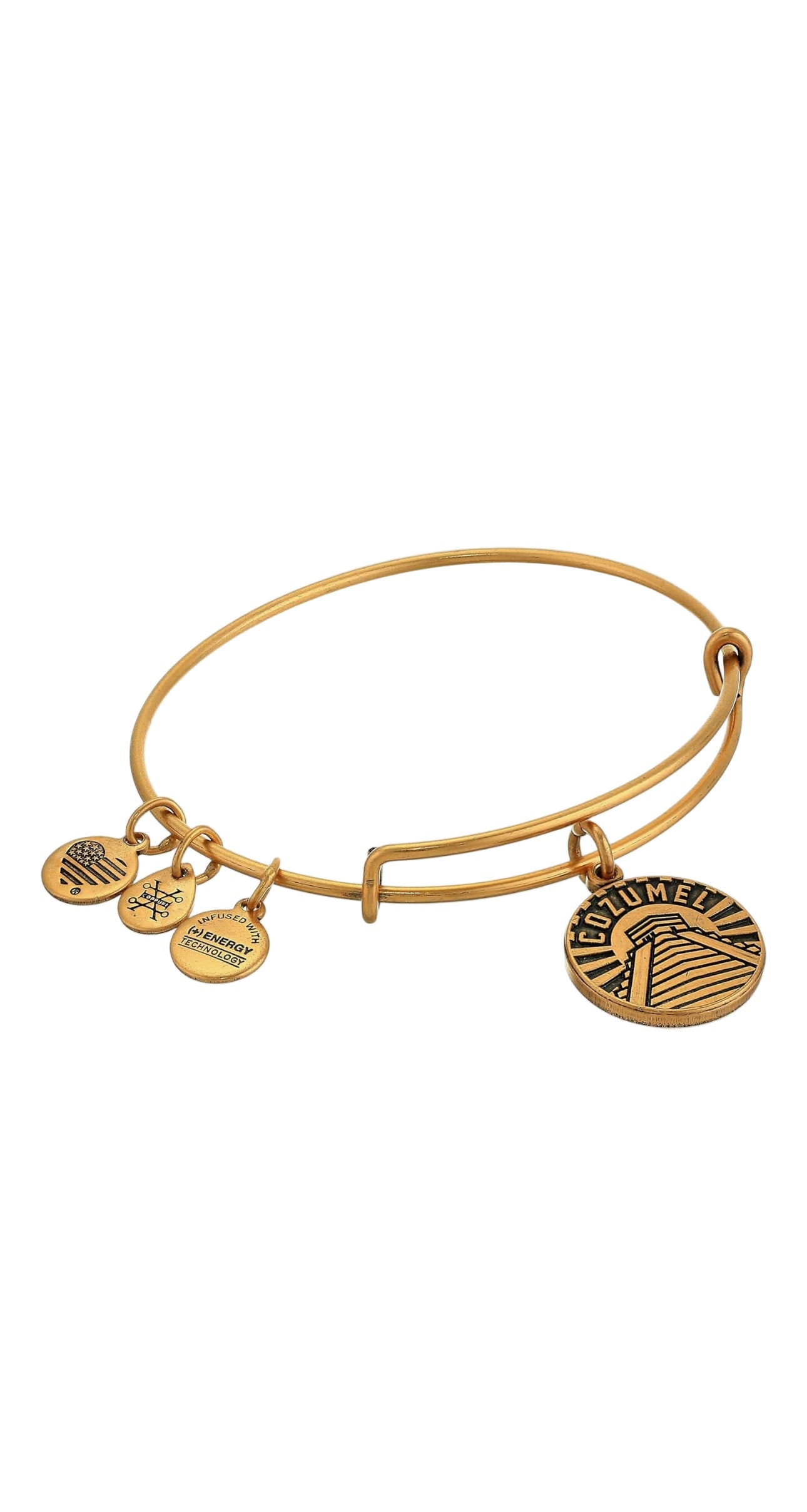 Alex and Ani - Cozumel Charm Bangle Bracelet