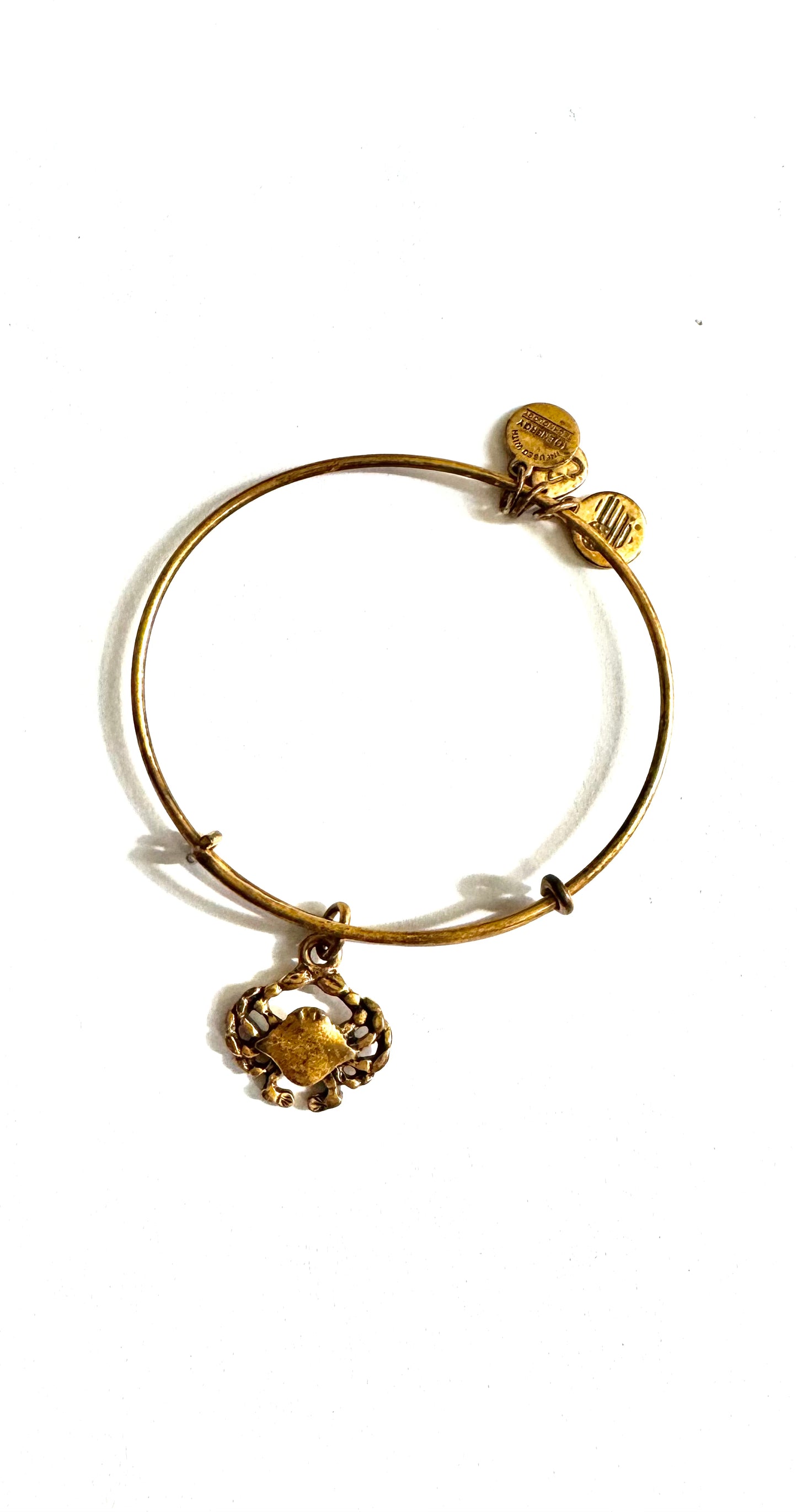 Alex and Ani - Crab Charm Cancer Zodiac Charm Bangle Bracelet