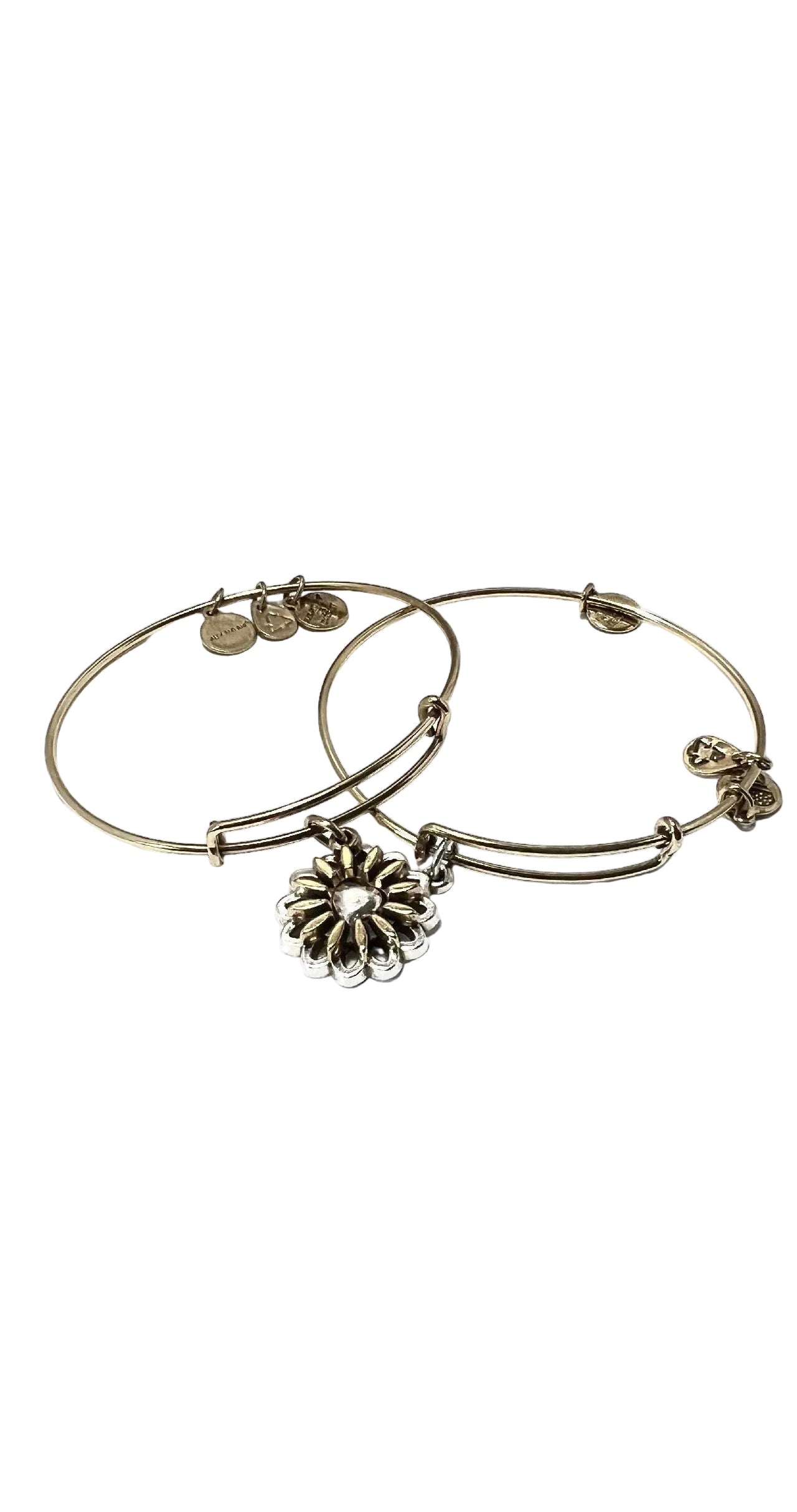 Alex and Ani - ‘You Are My Heart’ Two Tone Set of 2 Bangle Bracelet