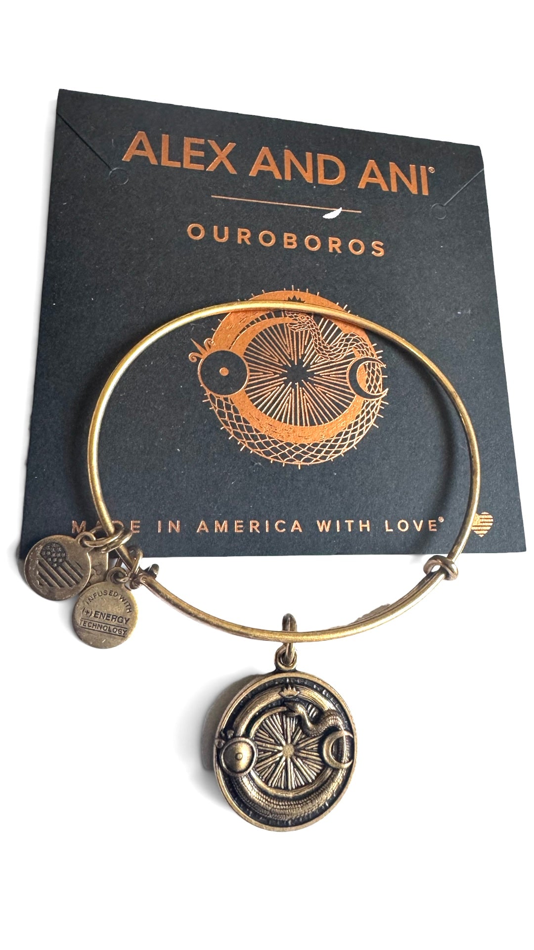 Alex and Ani - Ouroboros Charm Bangle Bracelet