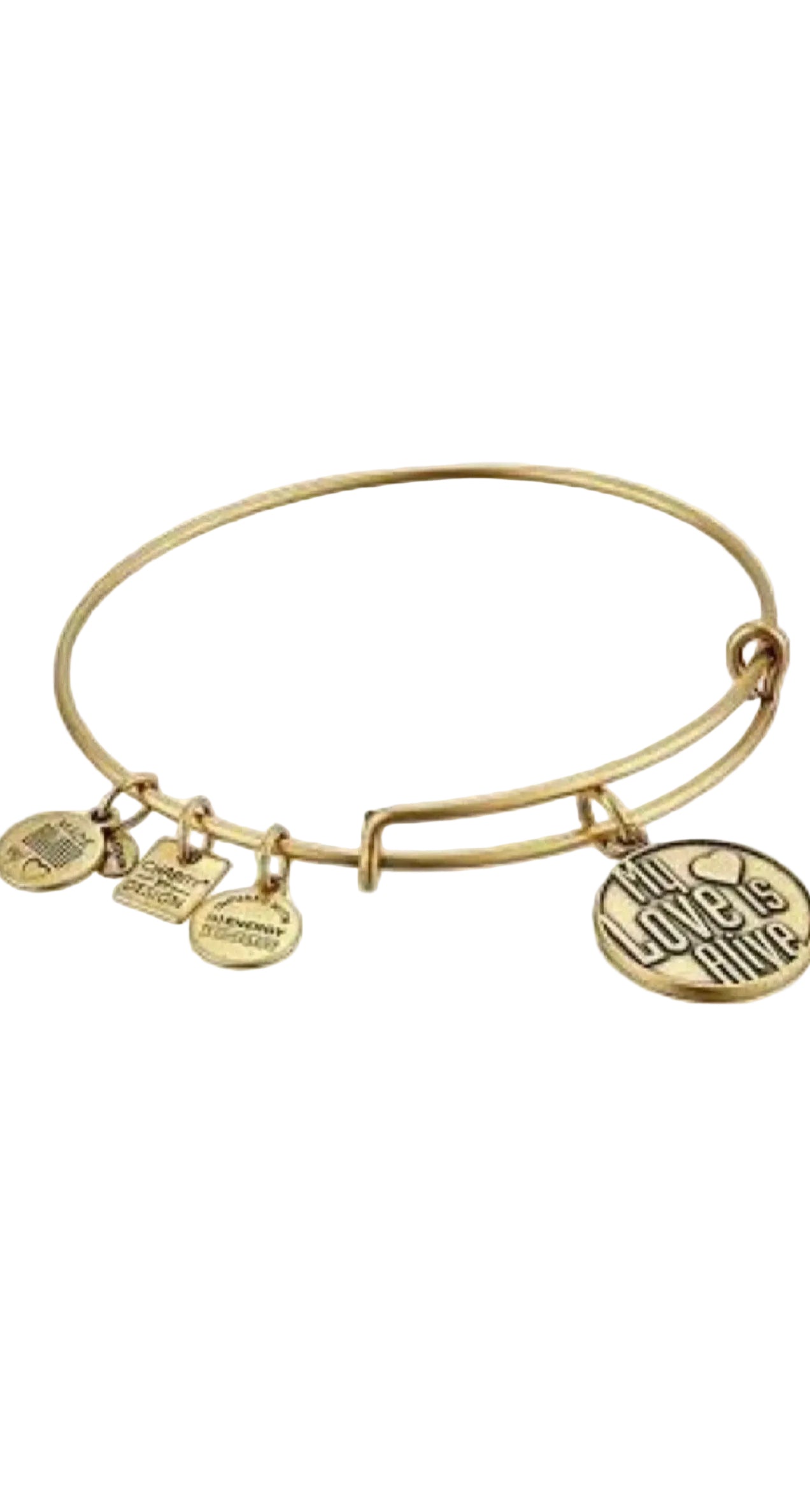 Alex and Ani - My Love Is Alive Charm Bangle Bracelet, Charity By Design