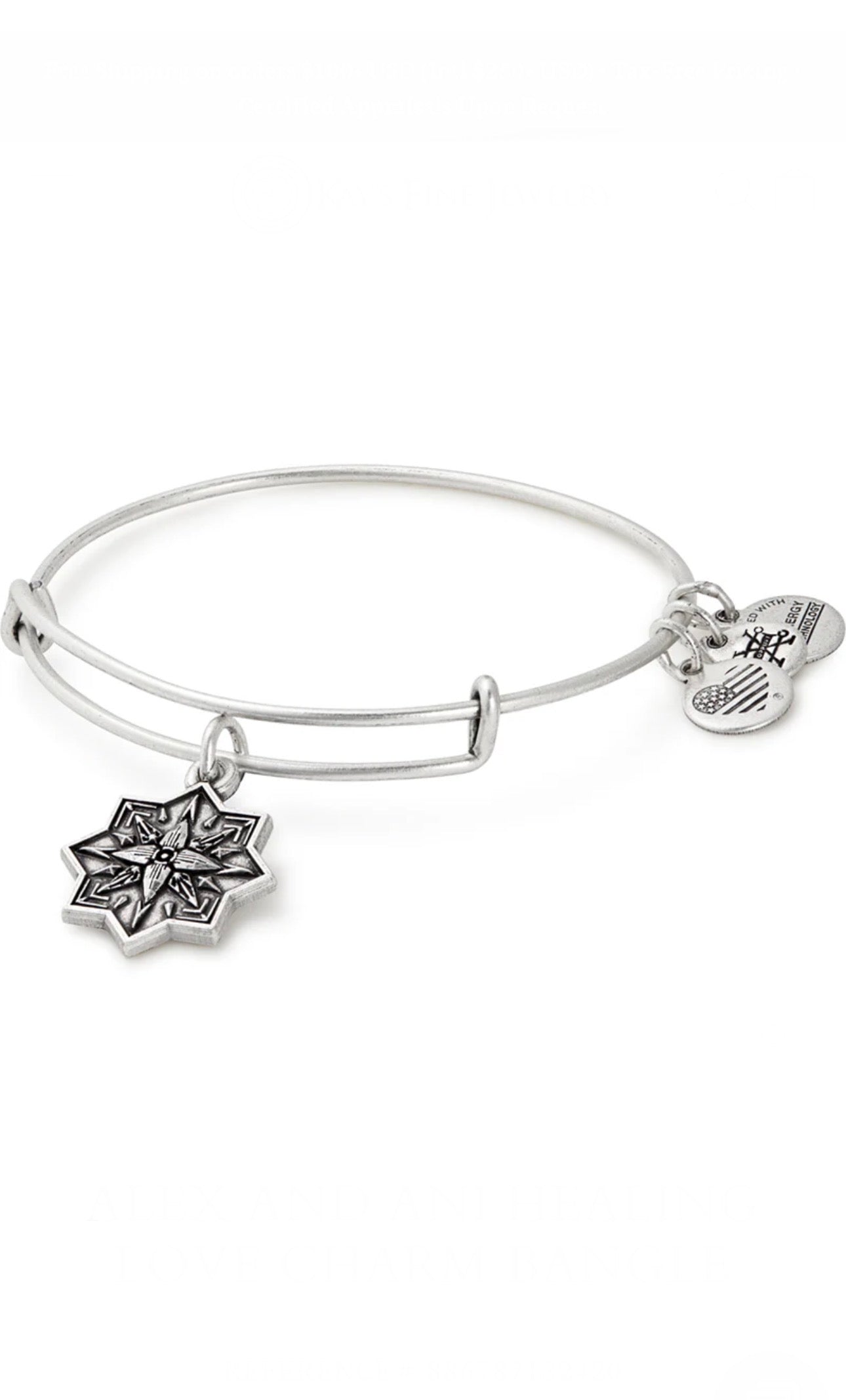 Alex and Ani - Healing Love Charm Bangle Bracelet, 2 Styles