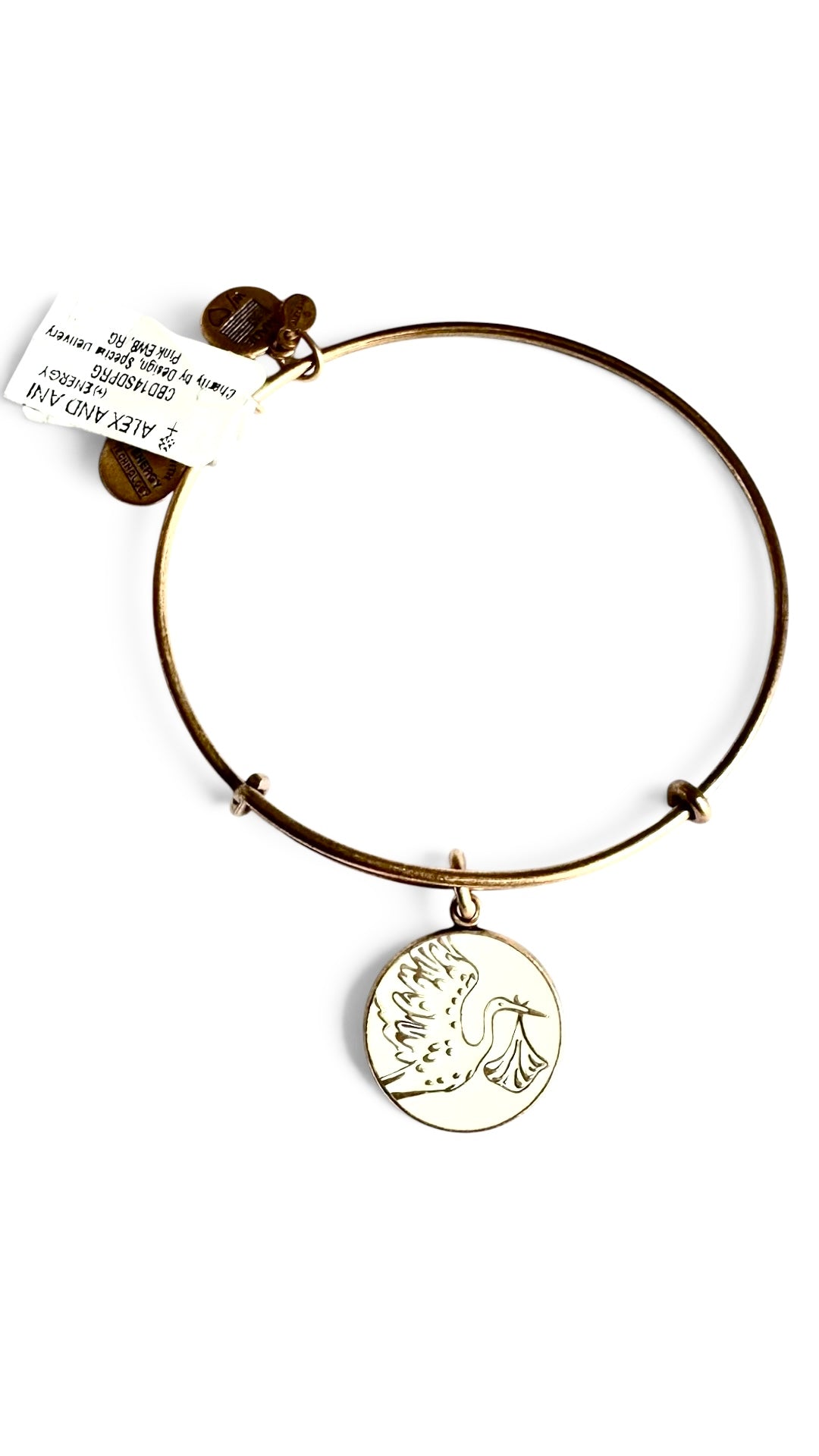 Alex and Ani - Special Delivery Charm Bangle Bracelet