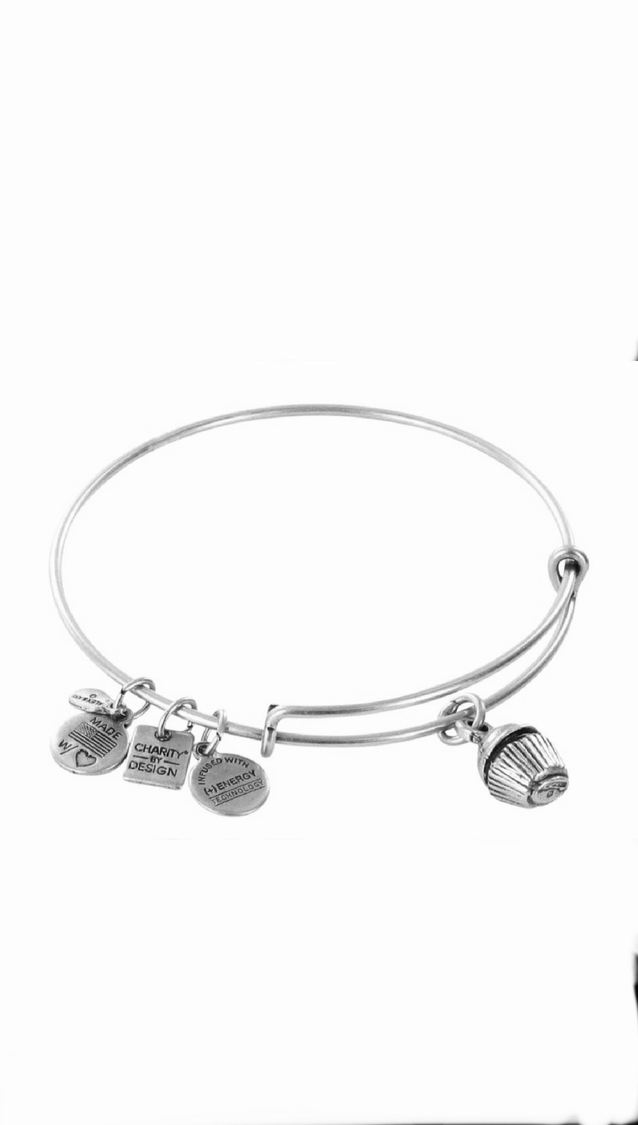 Alex and Ani - Cupcake Charm Bangle Bracelet