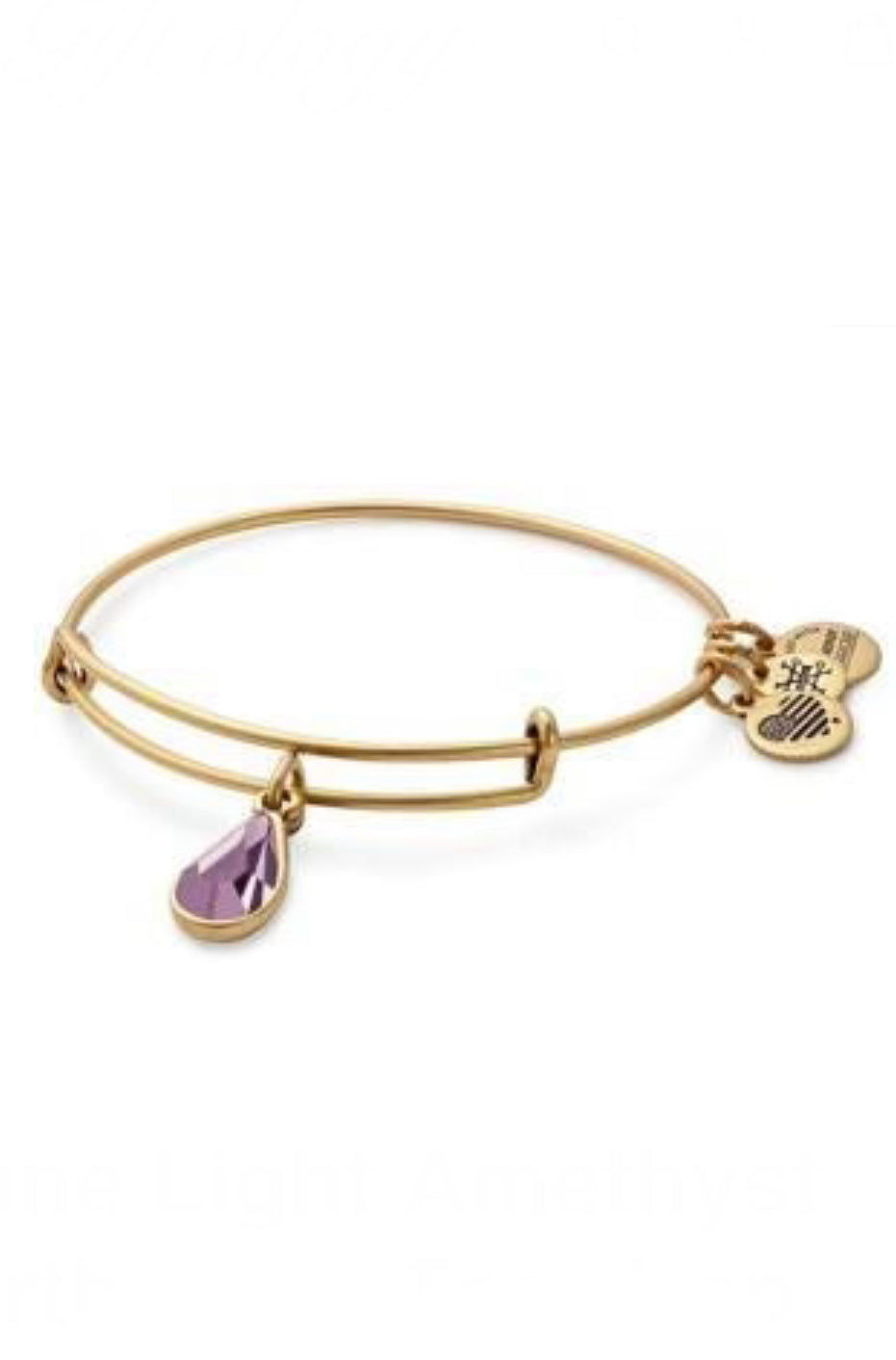 Alex and Ani - June Birthstone, Swarovski Crystal Charm Bangle Bracelet