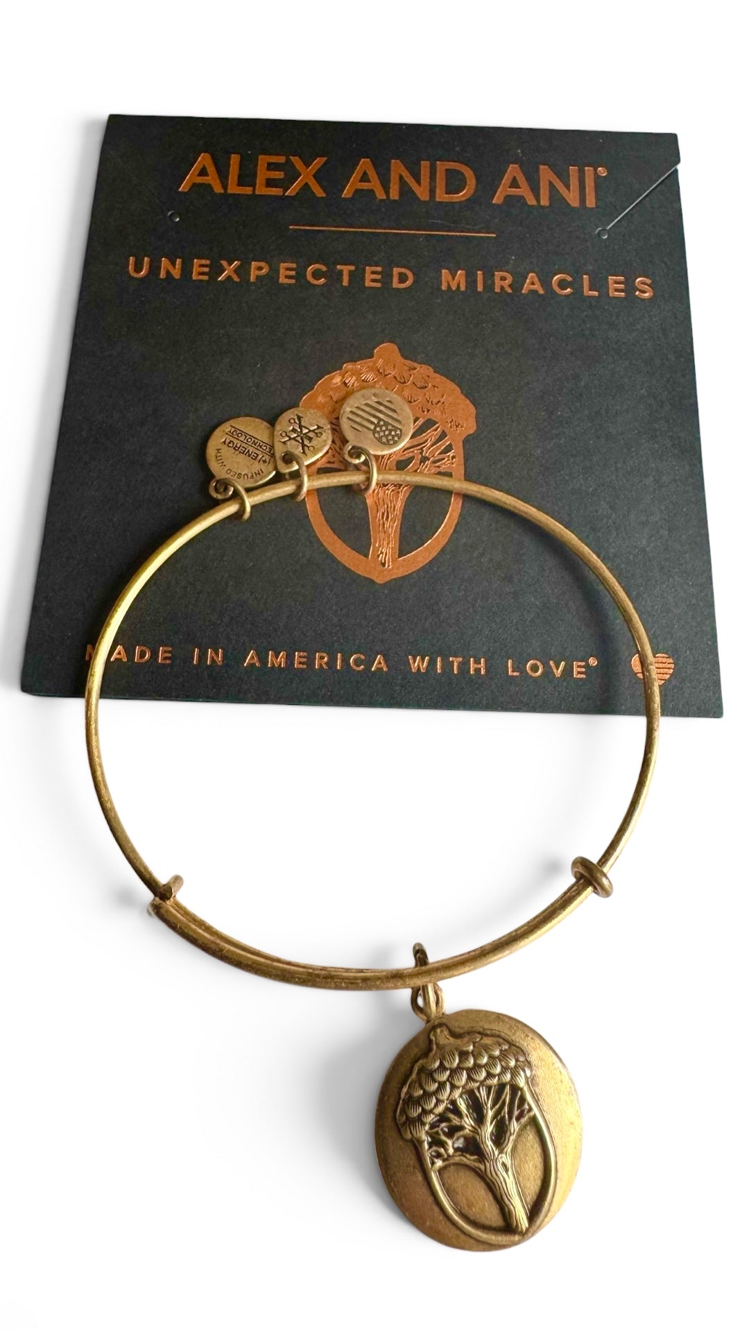 Alex and Ani - Unexpected Miracles Charm Bangle Bracelet, 2 Styles