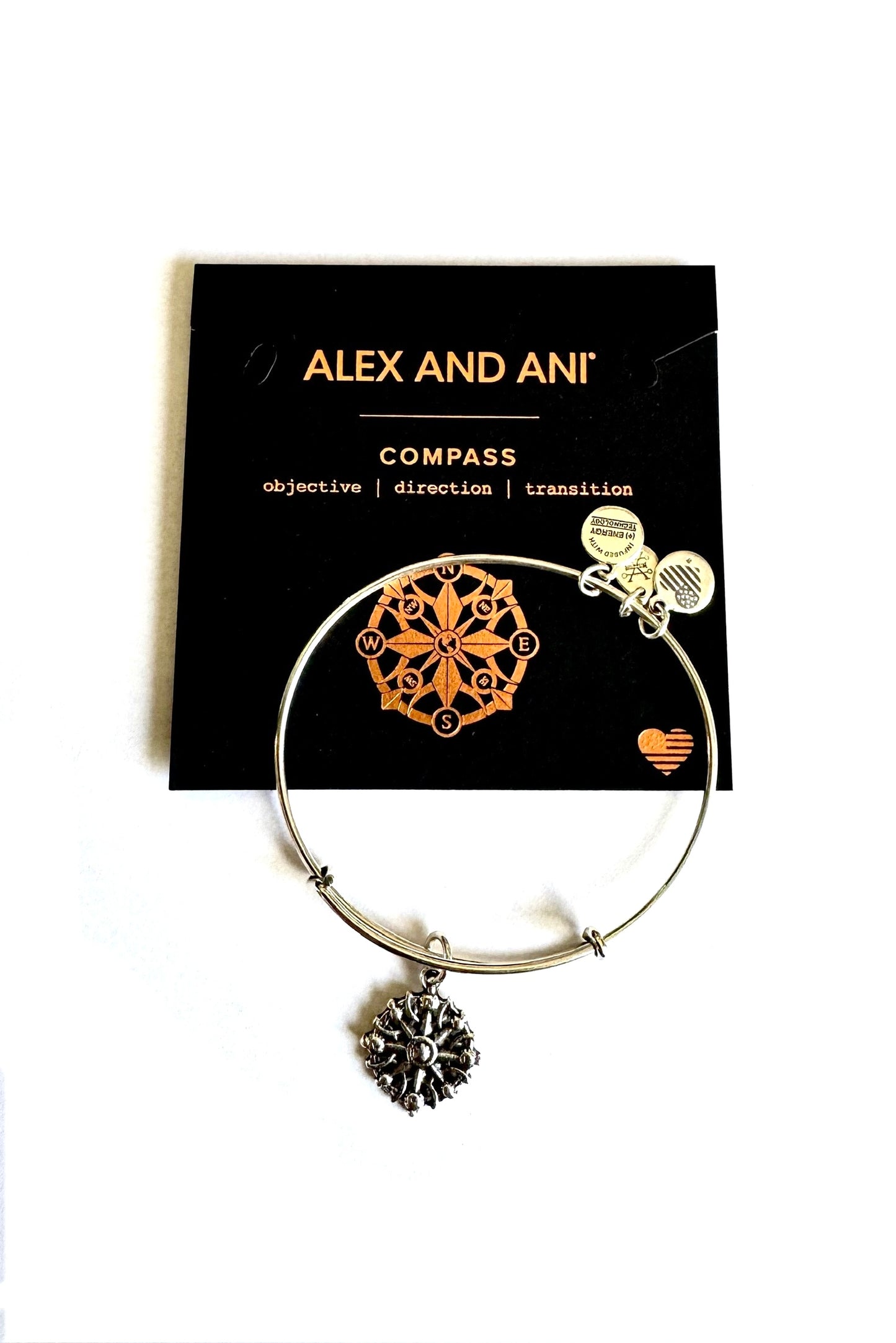 Alex and Ani - Silver Smaller Sized Compass Charm Bangle Bracelet