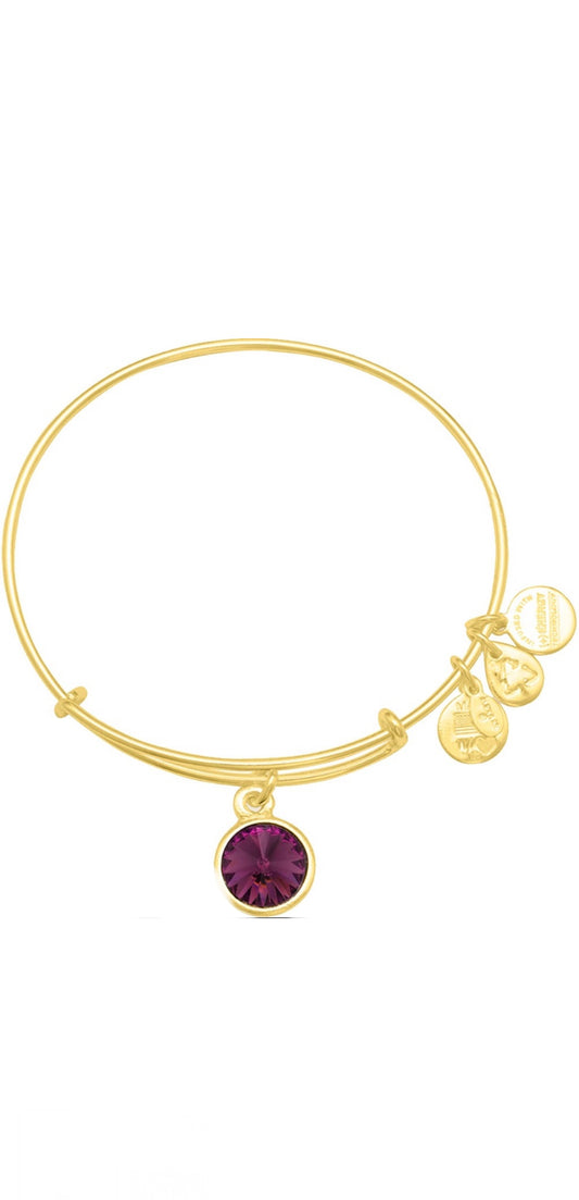 Alex and Ani - February Birth Amethyst Swarovski Crystal, Three Styles Bangle Bracelet