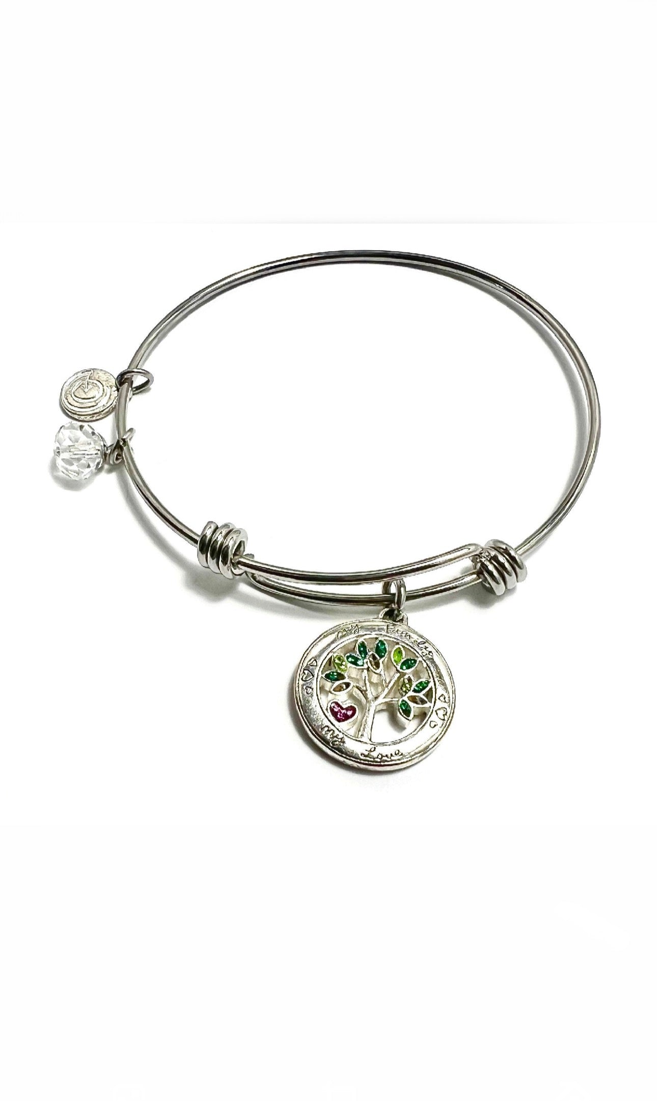 l Love This Life - My Family, My Love Charm, Stainless Steel, Family Tree Bangle Bracelet