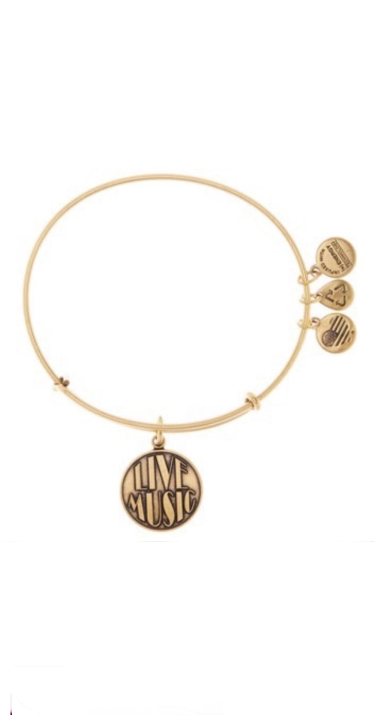 Alex and Ani - Live Music Charm Bracelet Bangle