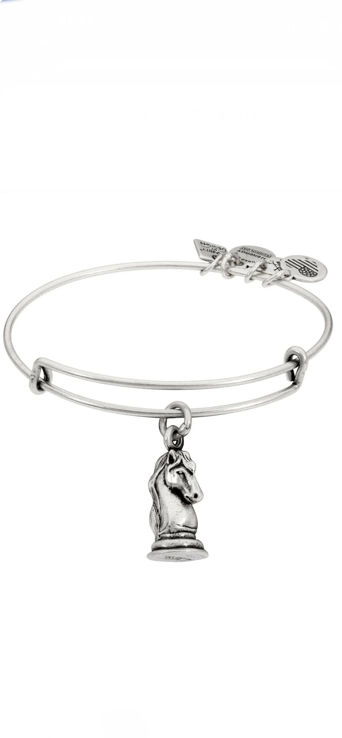 Alex and Ani - The Knight Charm Bangle Bracelet