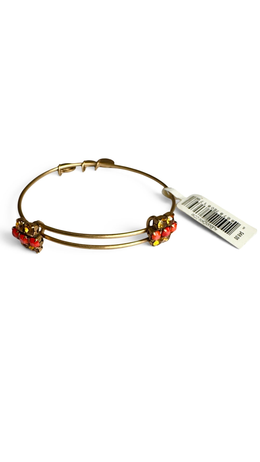 Alex and Ani - Sparkler Cinnamon Beads and Gold Swarovski Crystal Bangle Bracelet