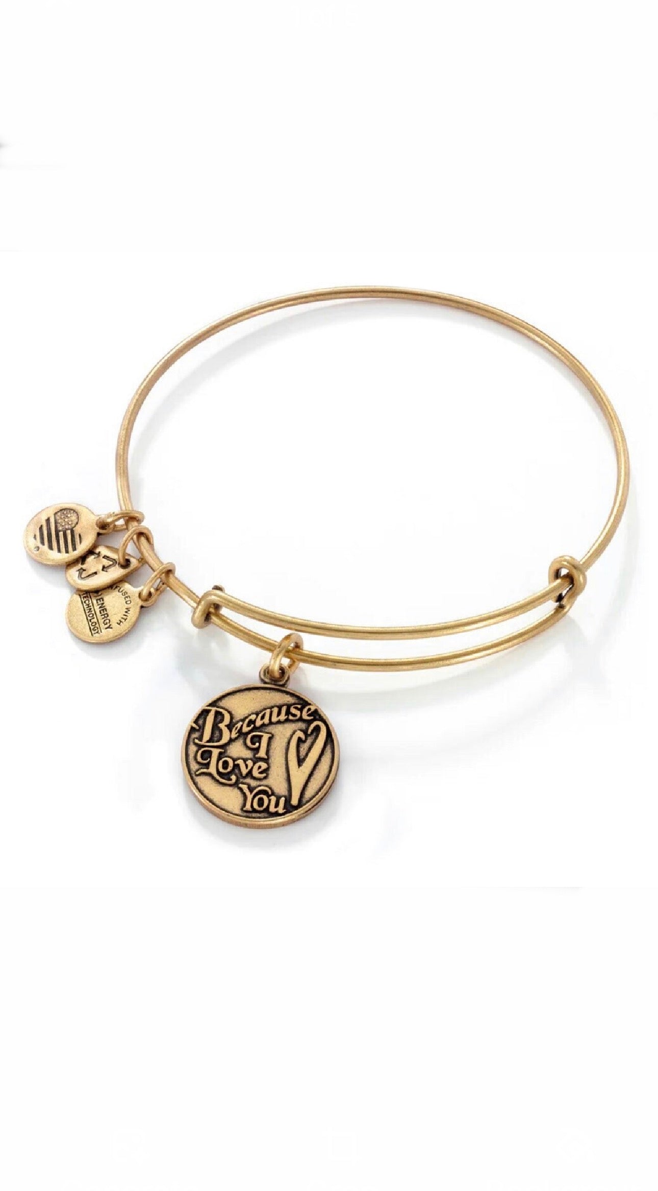 Alex and Ani - ‘Because I Love You’ Charm Bangle Bracelet