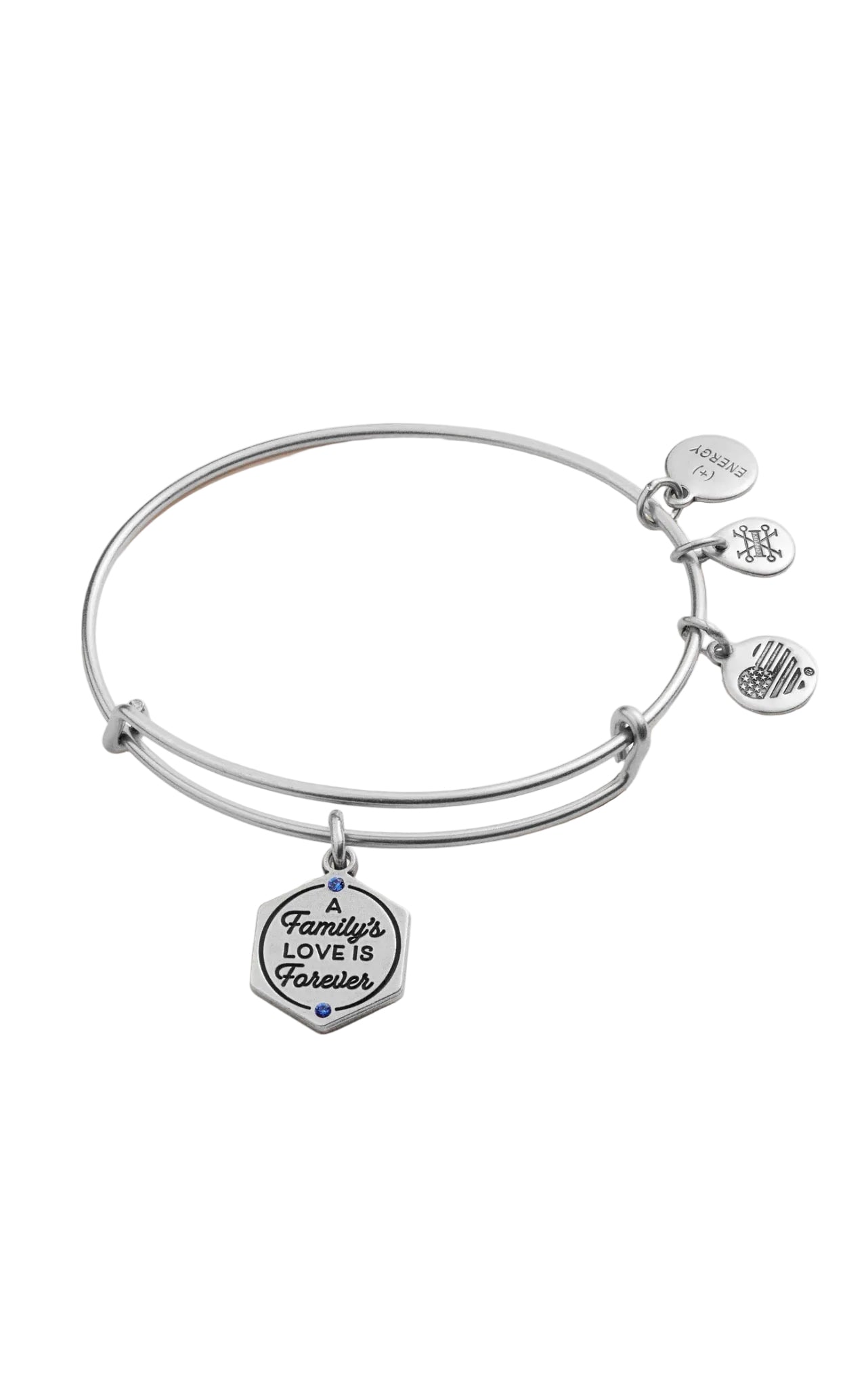 Alex and Ani - ‘A Family’s Love Is Forever’ Bangle Bracelet