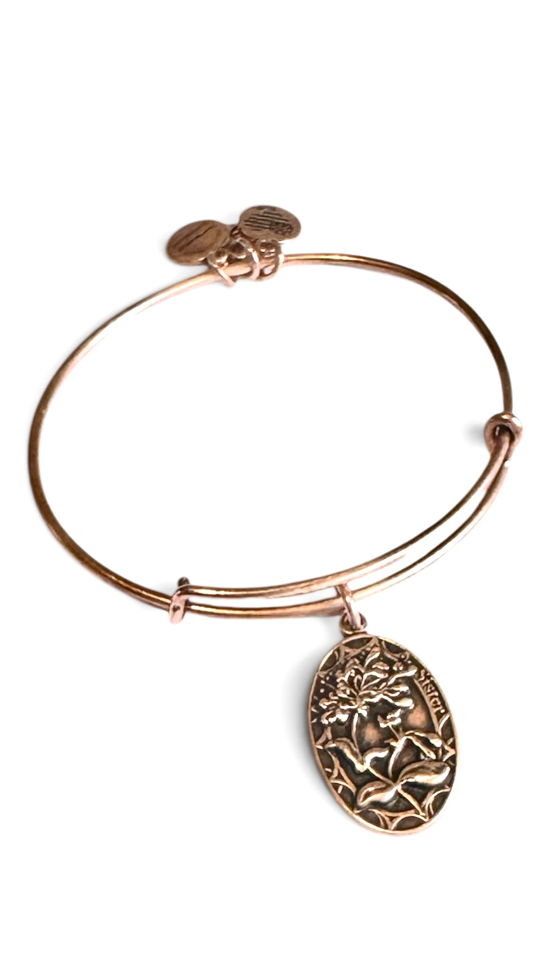 Alex and Ani - “Sister” Charm Slide Bangle Bracelet, 3 Styles