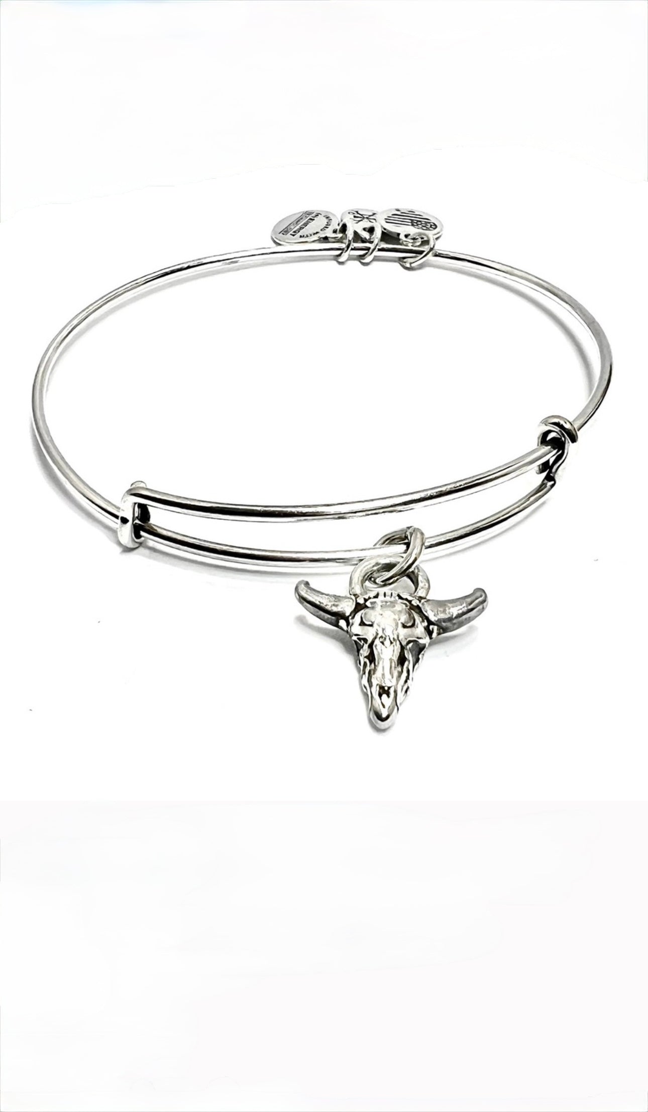 Alex and Ani - Spirited Skull Charm Bangle Bracelet