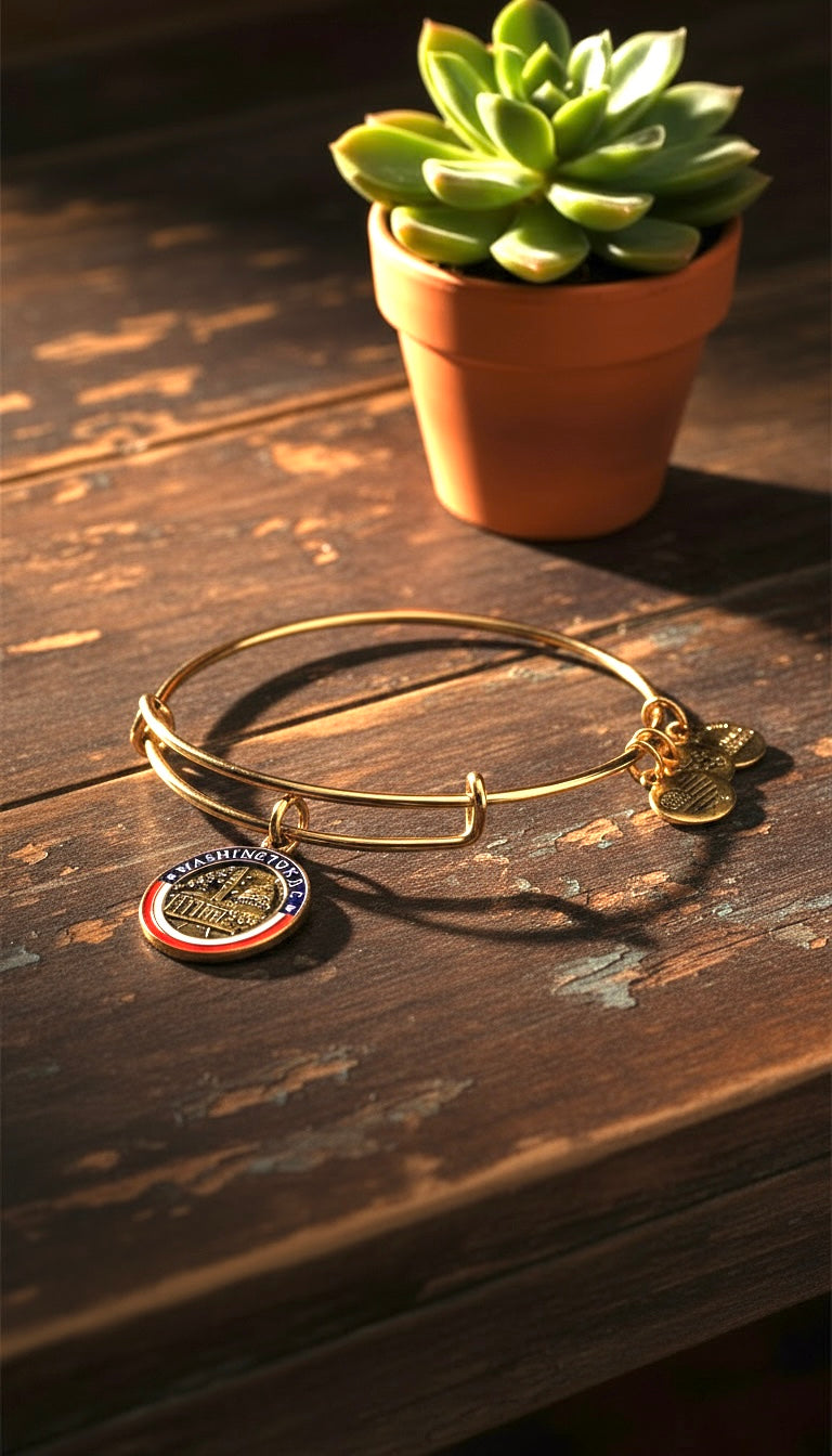 Alex and Ani - Washington D.C. III Charm Destination Bangle Bracelet
